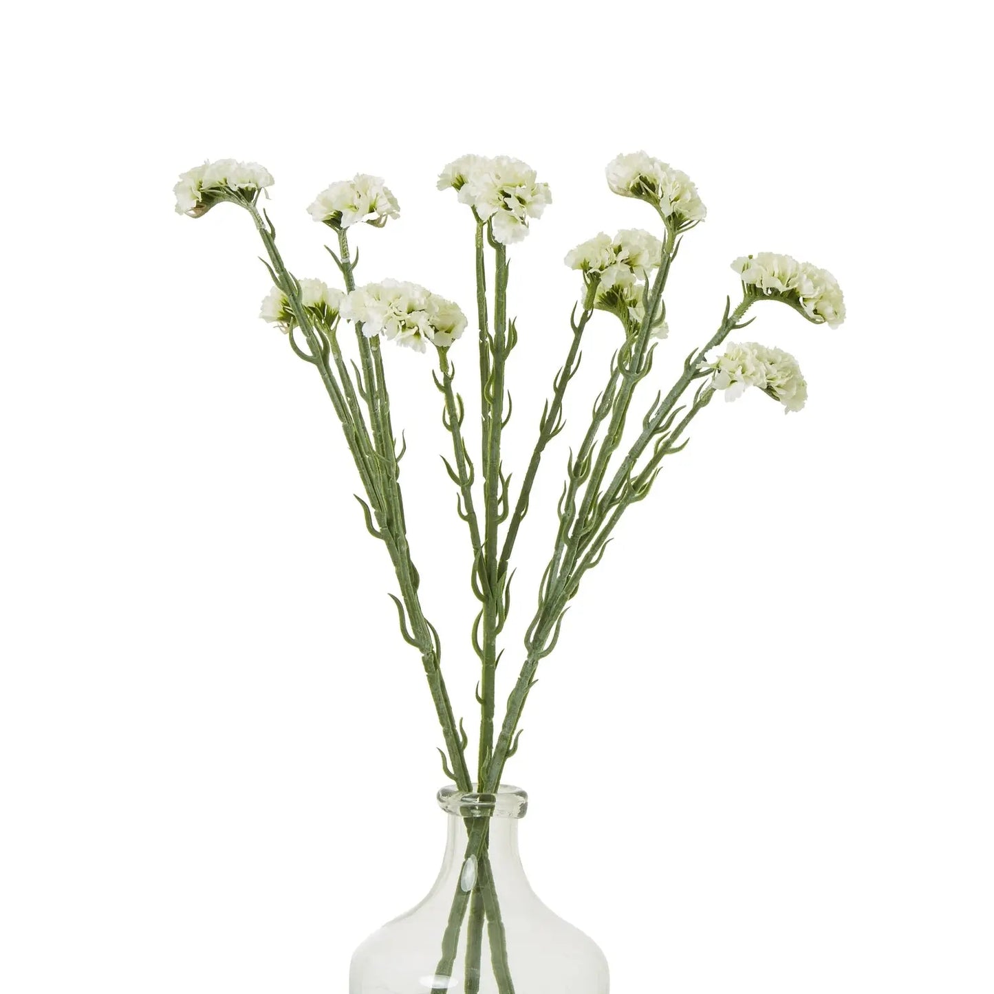 Cream Statice Spray Makur Interior
