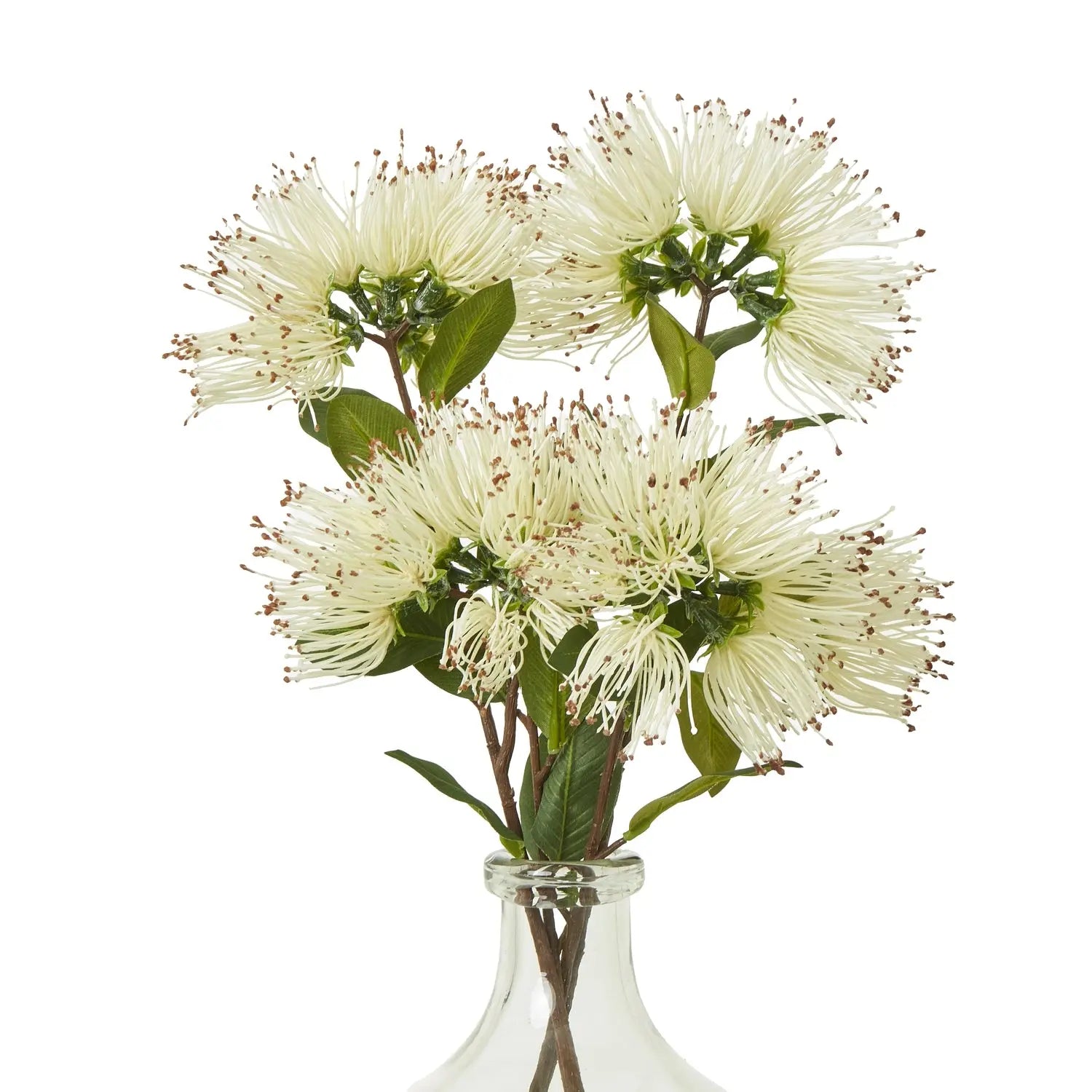 Cream Protea Nitida Spray Makur Interior