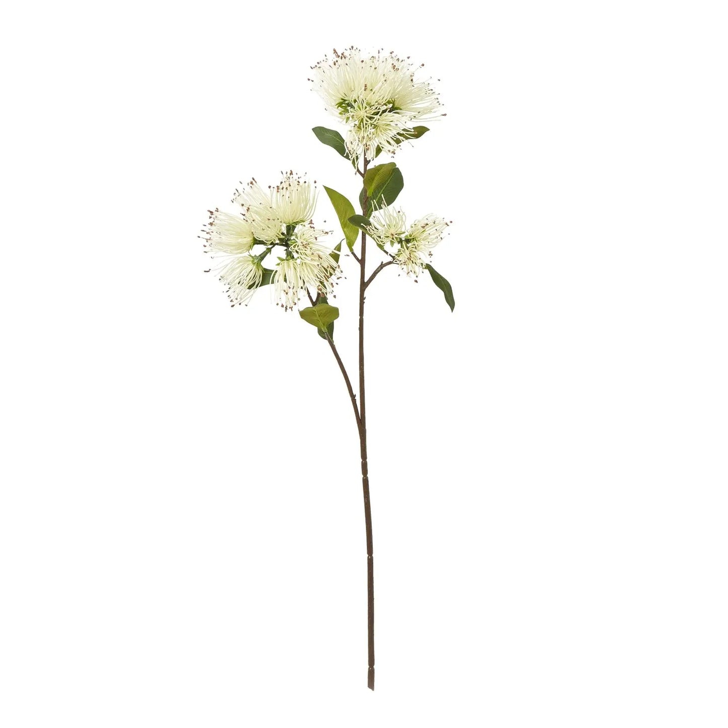 Cream Protea Nitida Spray Makur Interior