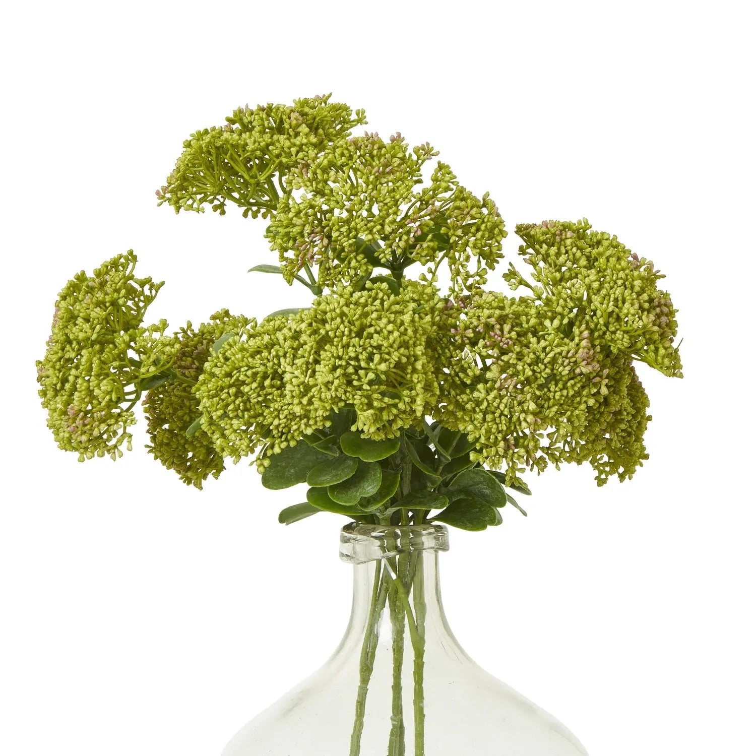 Green Sedum Spray Makur Interior