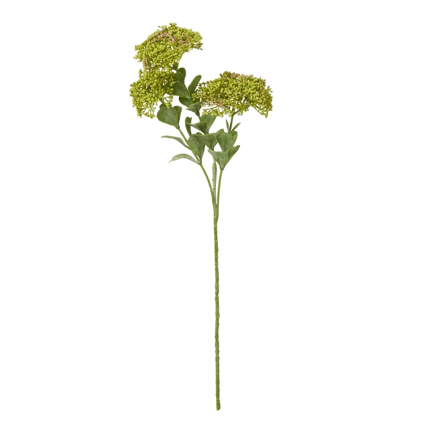 Green Sedum Spray Makur Interior