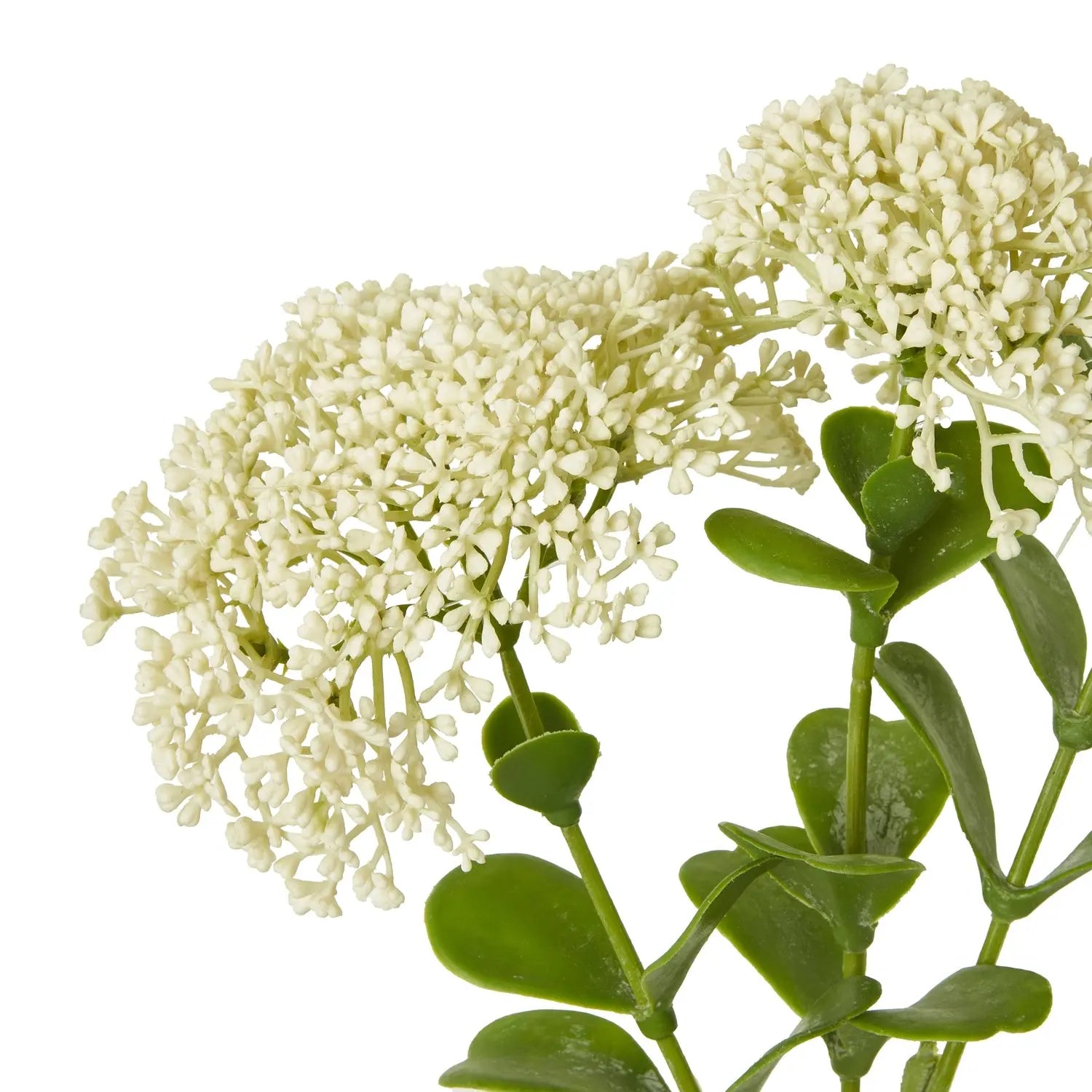 Cream Sedum Spray Makur Interior