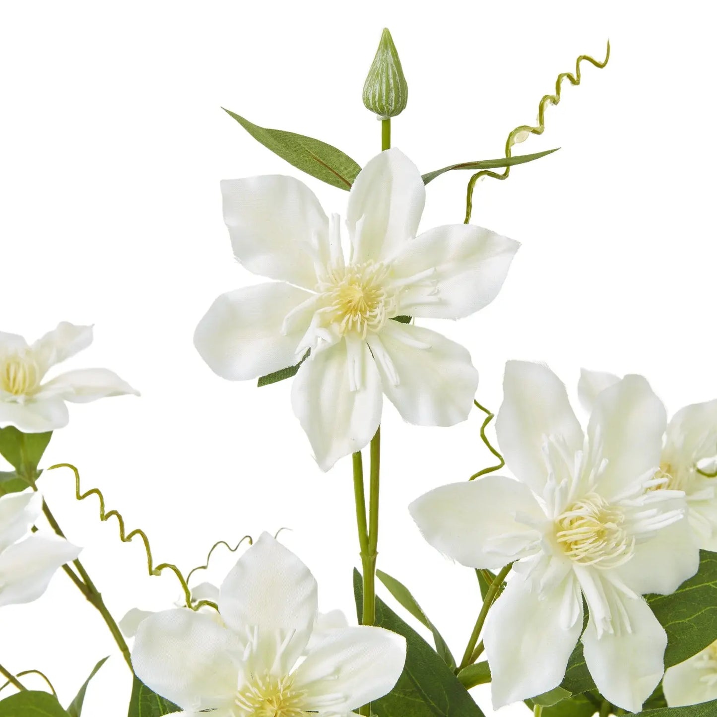 Cream Pearl Clematis Spray Makur Interior