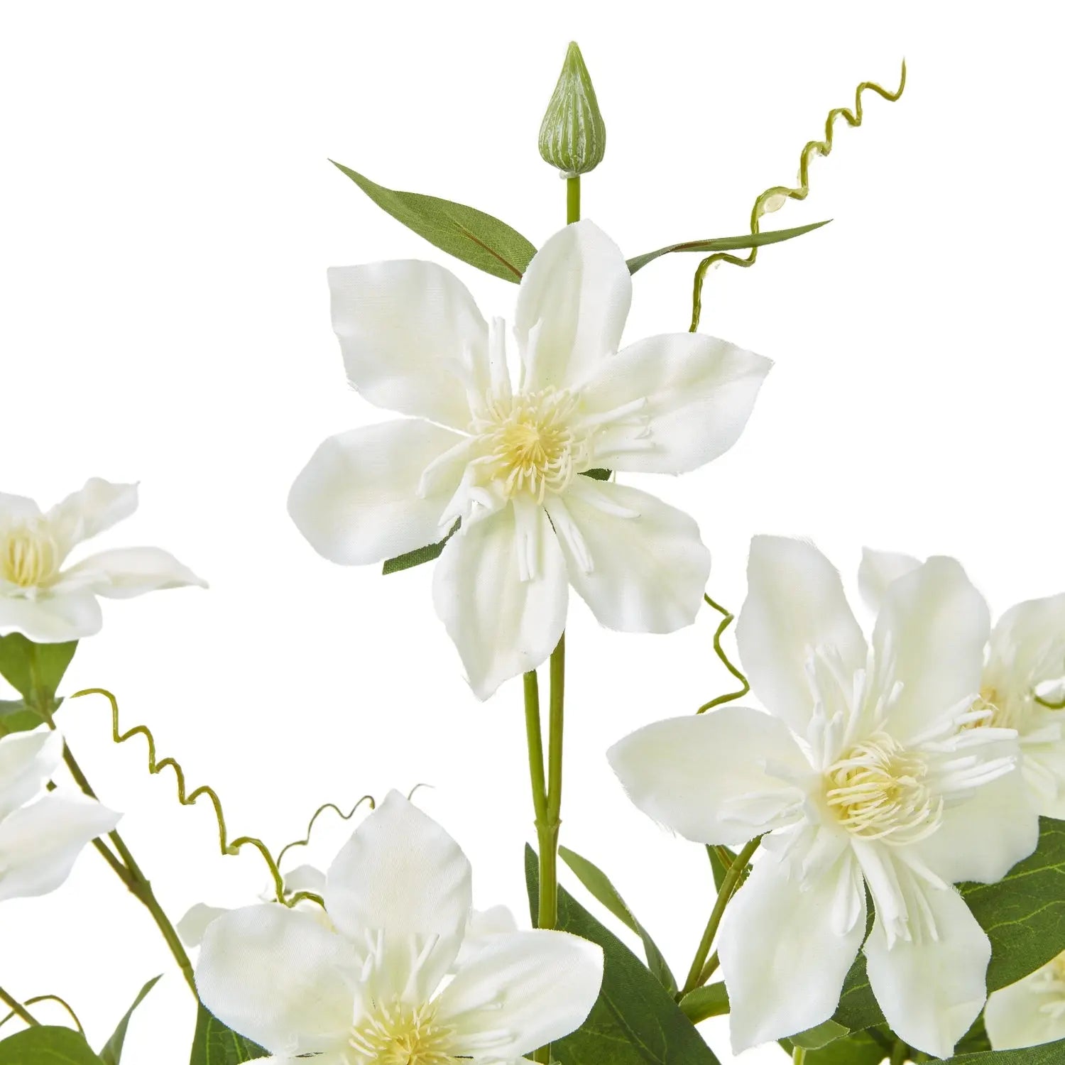 Cream Pearl Clematis Spray Makur Interior