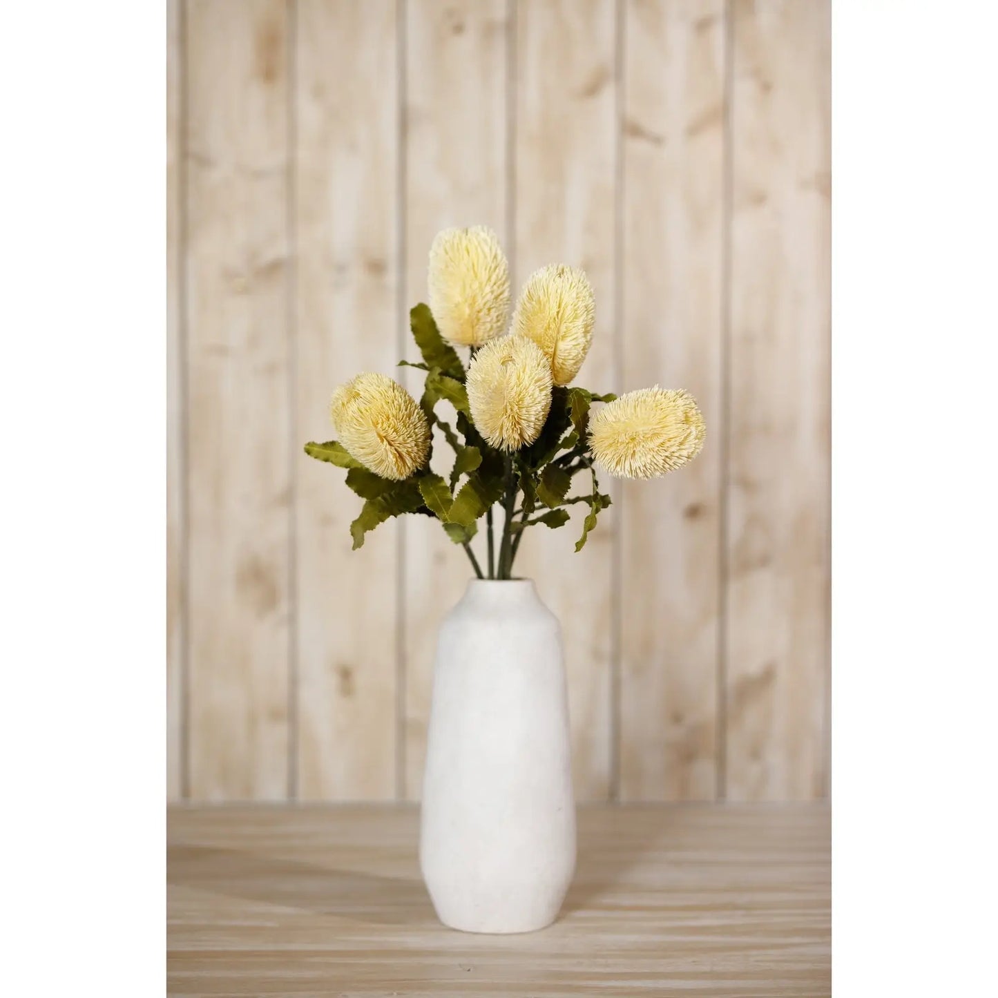 Large Cream Banksia Serrata Stem Makur Interior