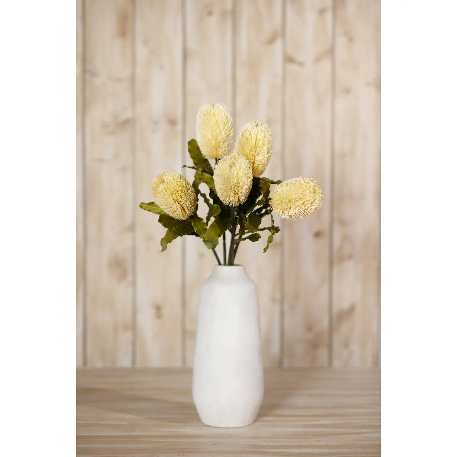Large Cream Banksia Serrata Stem Makur Interior