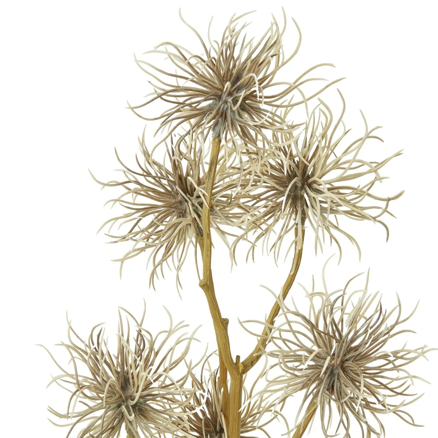 Brown Xanthium Spray Makur Interior