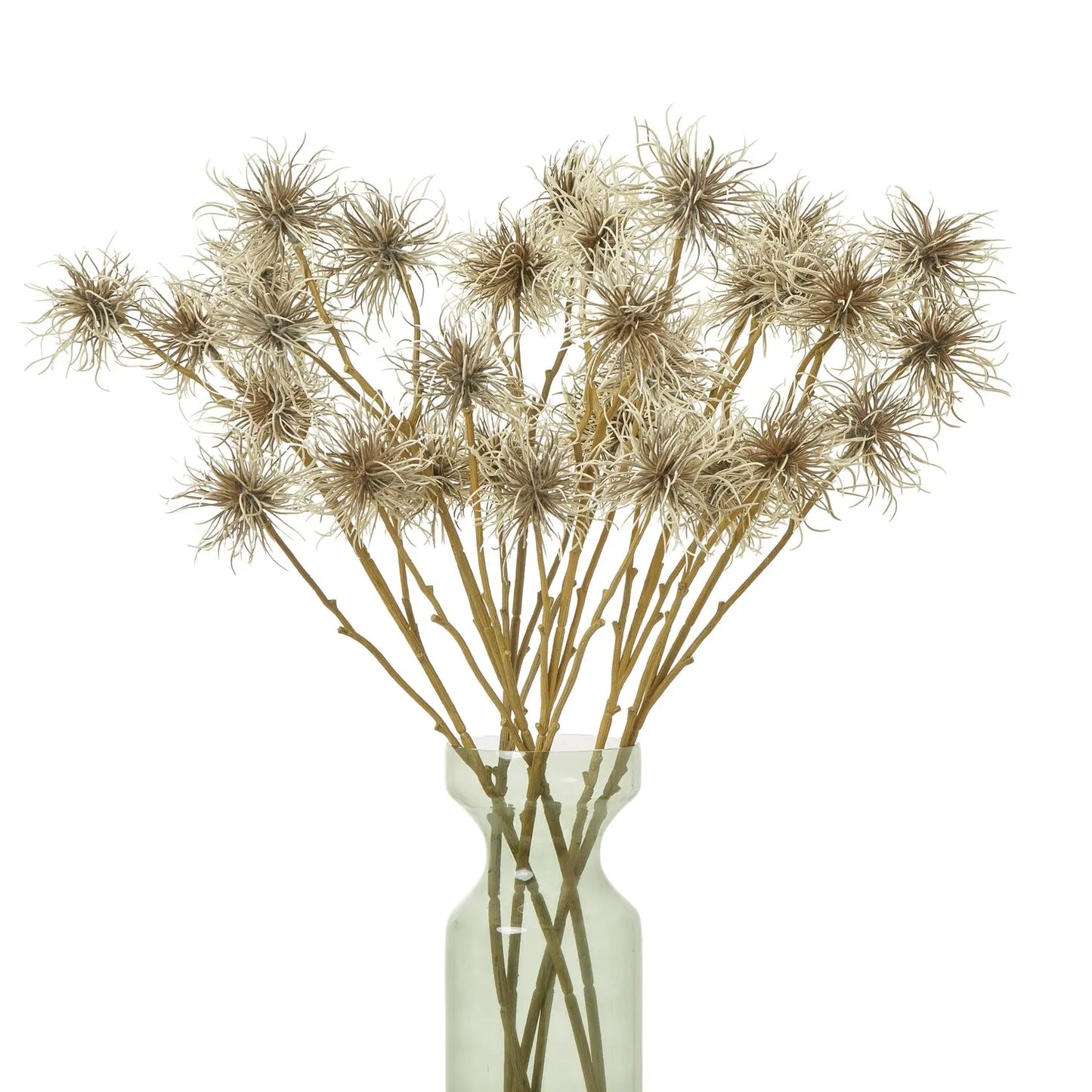 Brown Xanthium Spray Makur Interior