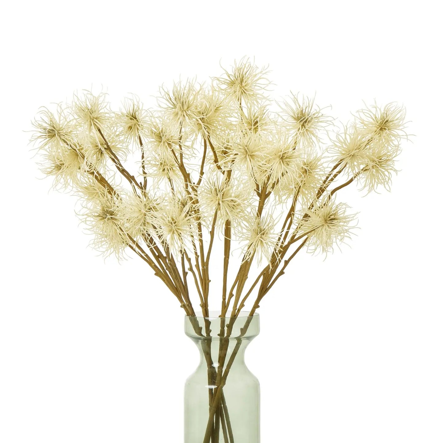 Cream Xanthium Spray Makur Interior