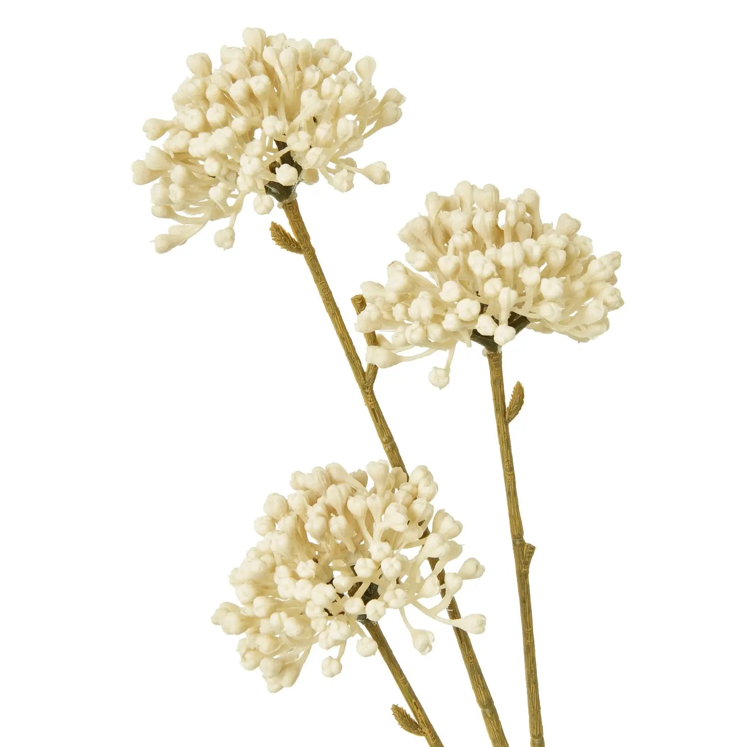 Cream Allium Spray Makur Interior