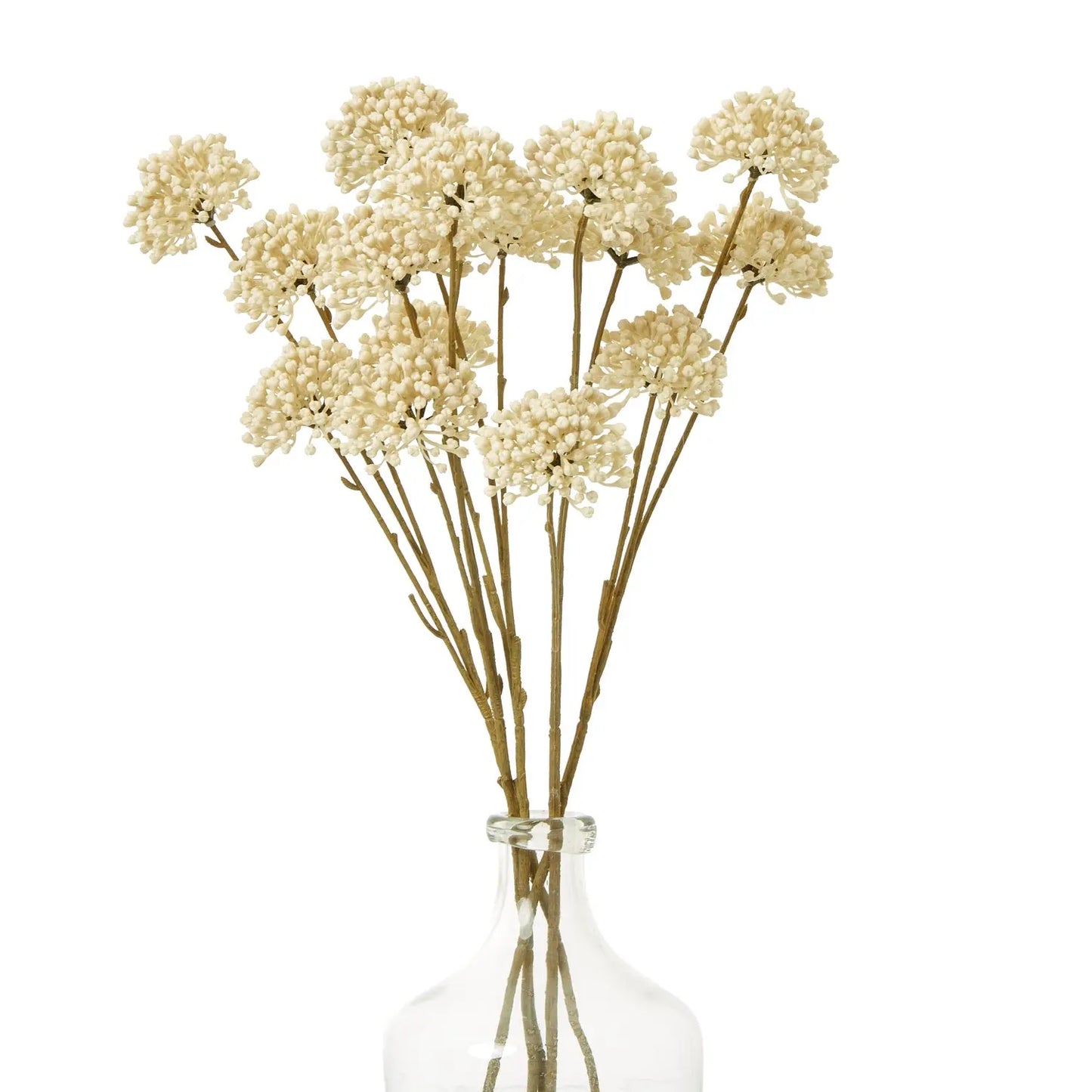 Cream Allium Spray Makur Interior