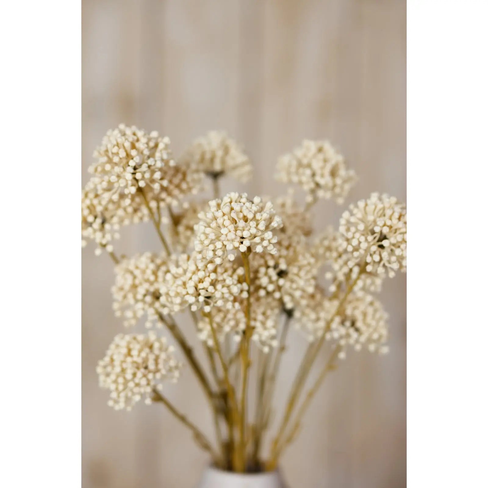 Cream Allium Spray Makur Interior