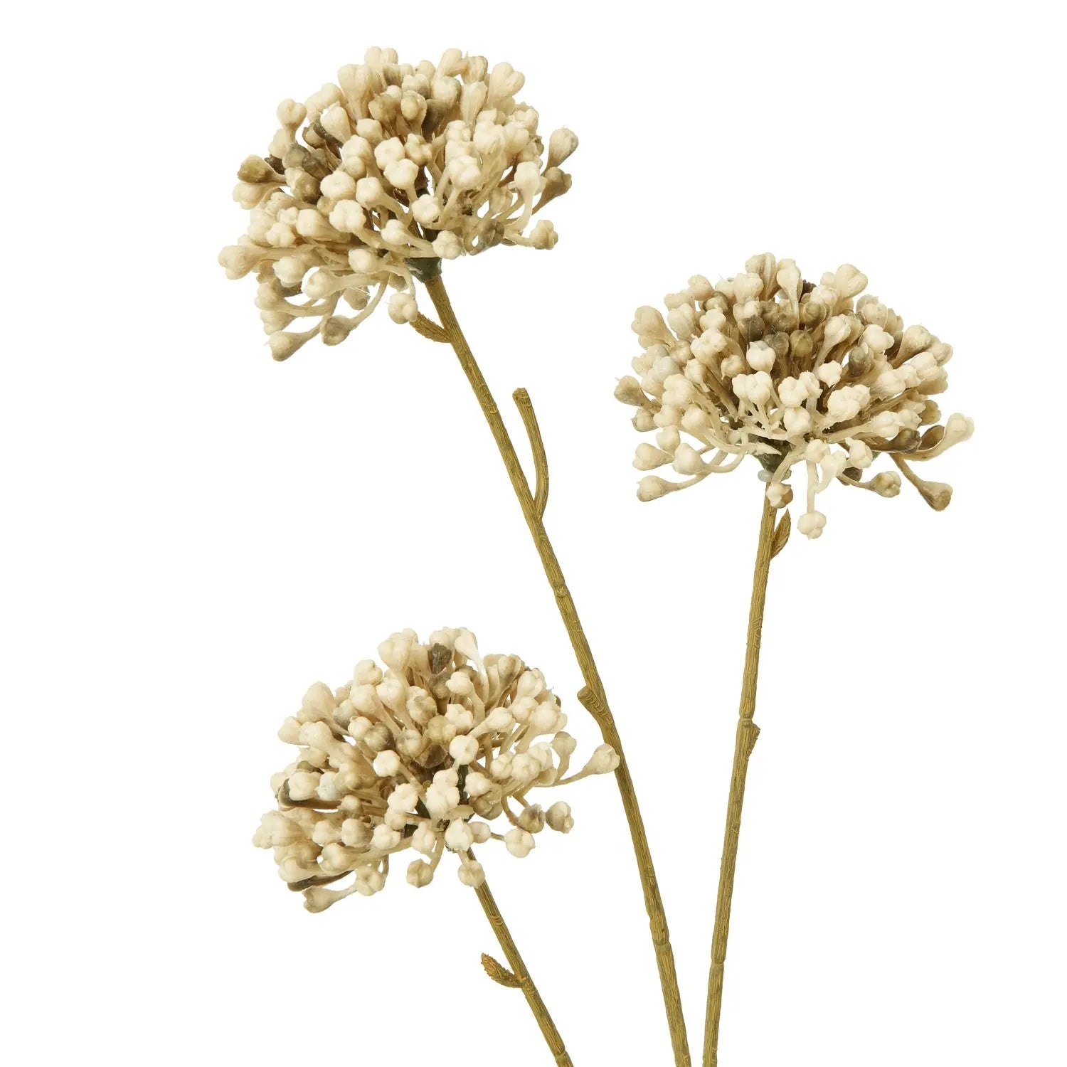 Brown Allium Spray Makur Interior