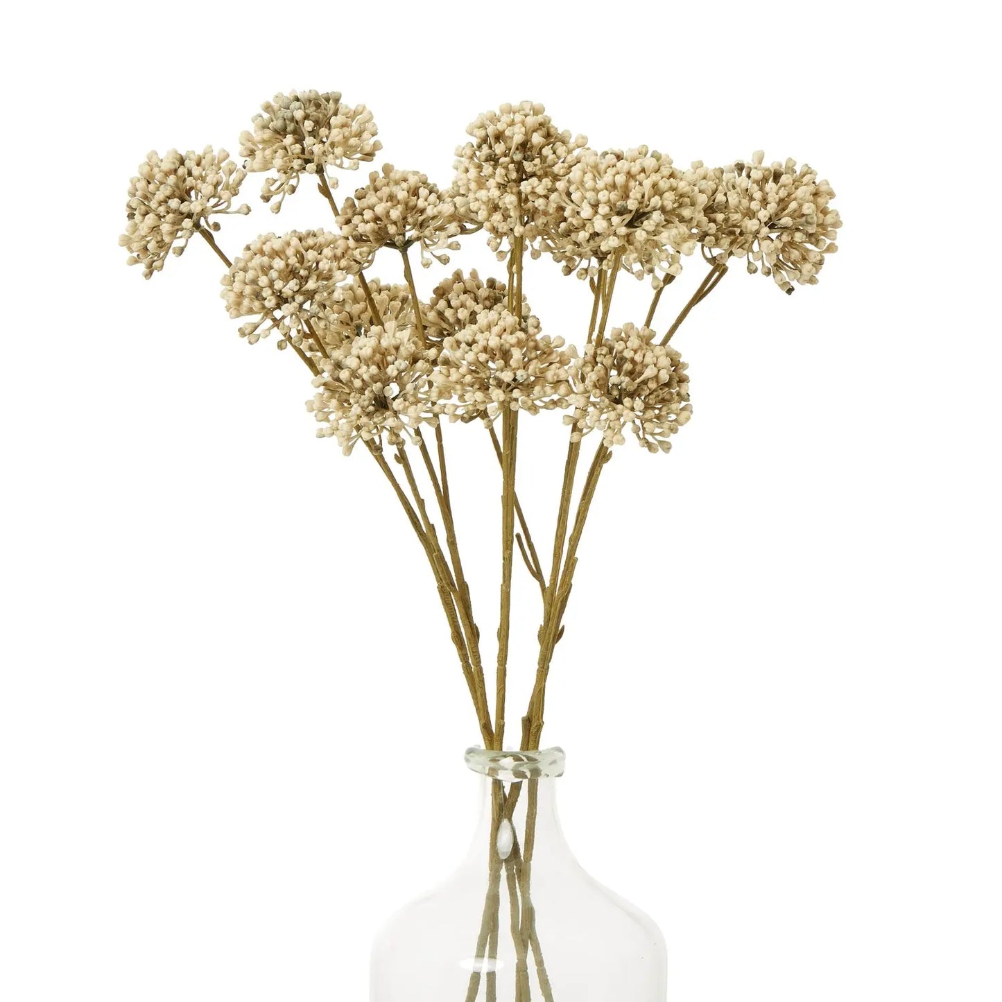 Brown Allium Spray Makur Interior