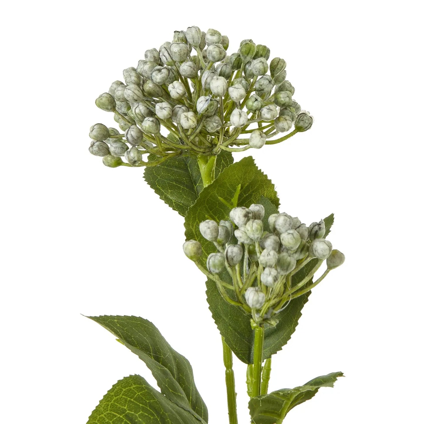 Blue Budding Hydrangea Spray Makur Interior