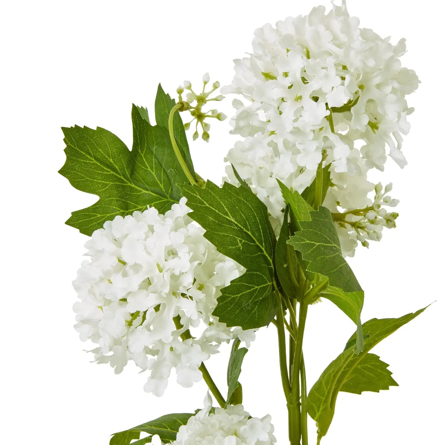 Cream Snowball Viburnum Spray Makur Interior