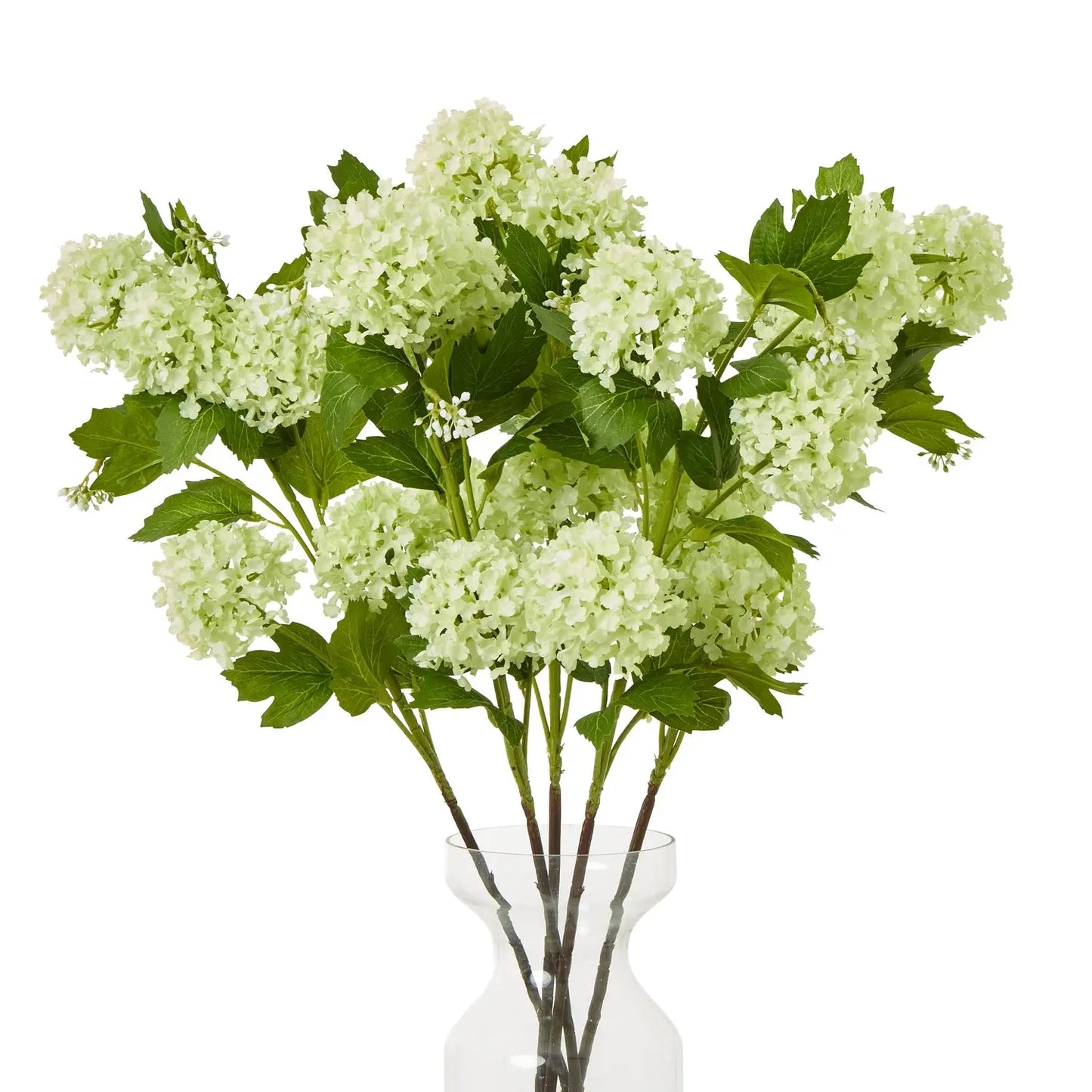 Green Snowball Viburnum Spray Makur Interior