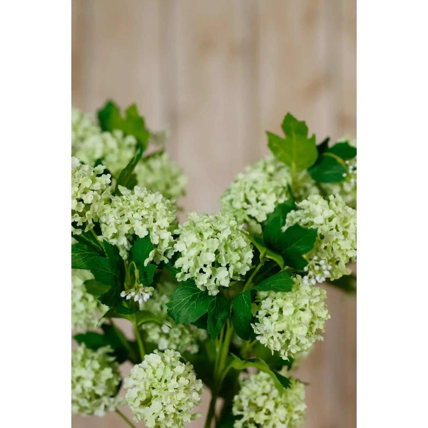 Green Snowball Viburnum Spray Makur Interior