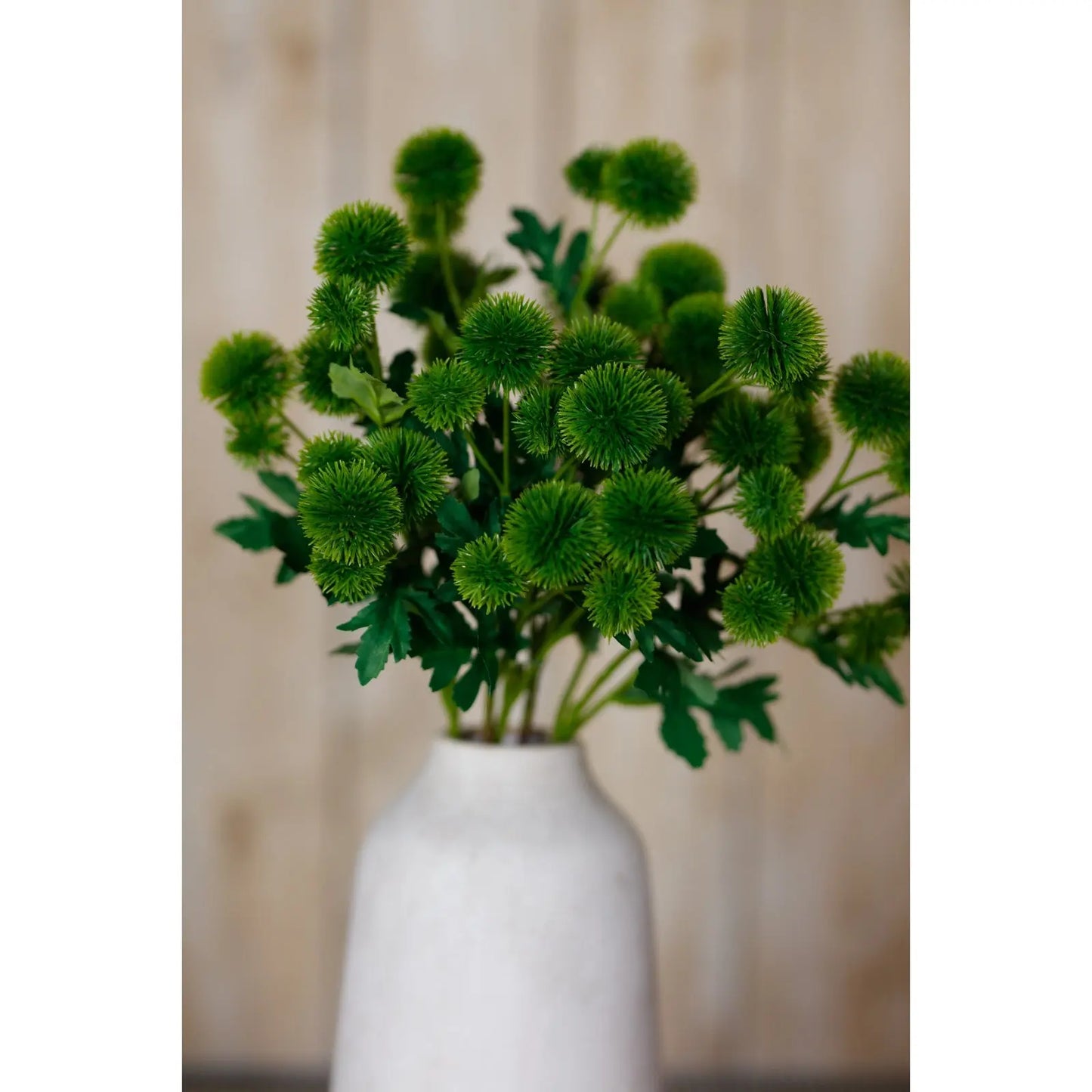 Green Globe Thistle Spray Makur Interior