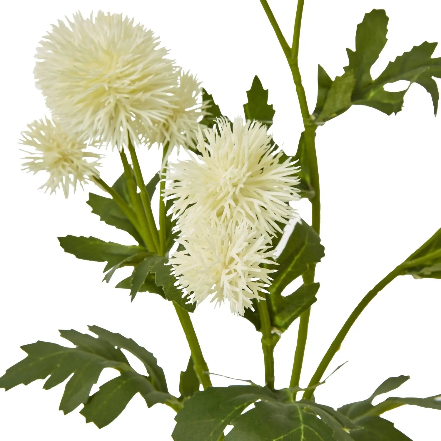 Cream Globe Thistle Spray Makur Interior