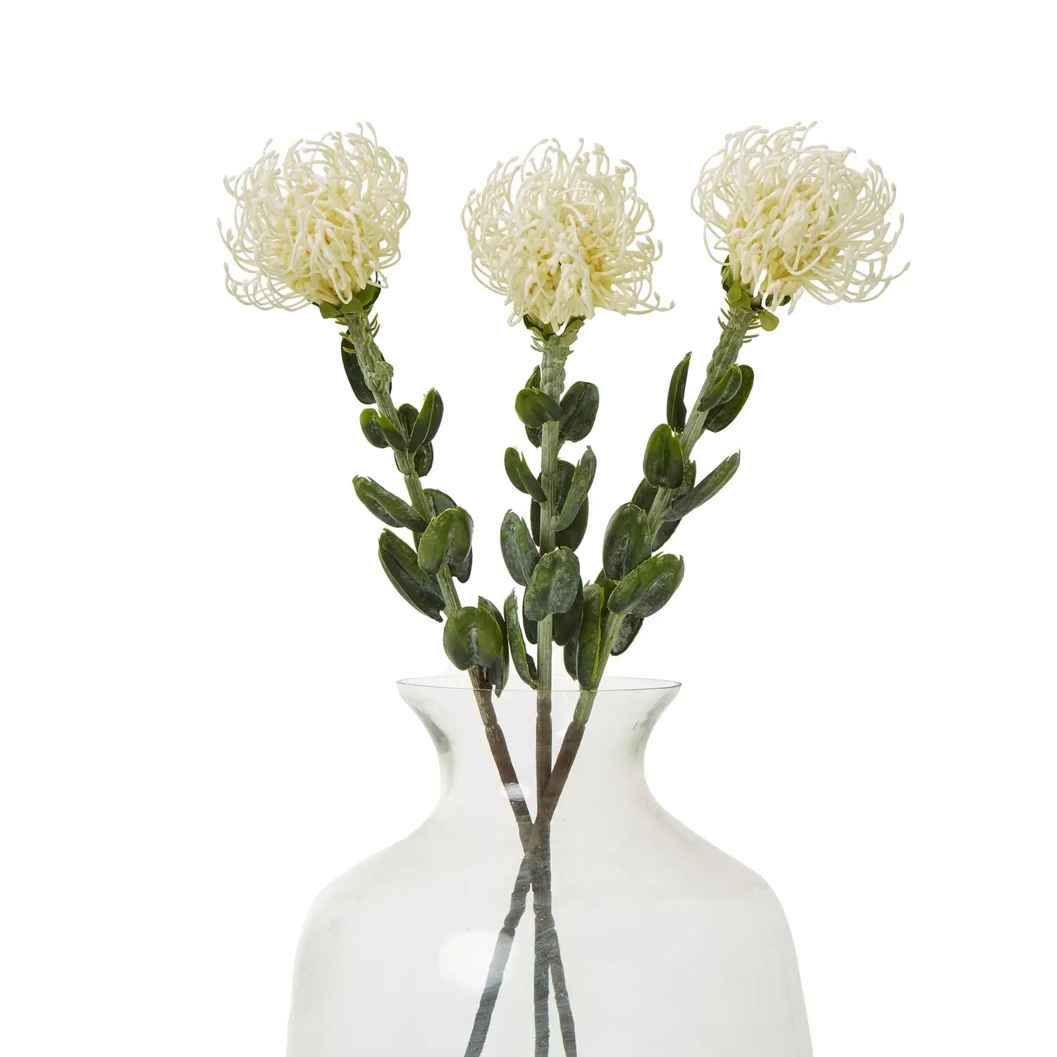 Cream Pincushion Protea Spray Makur Interior