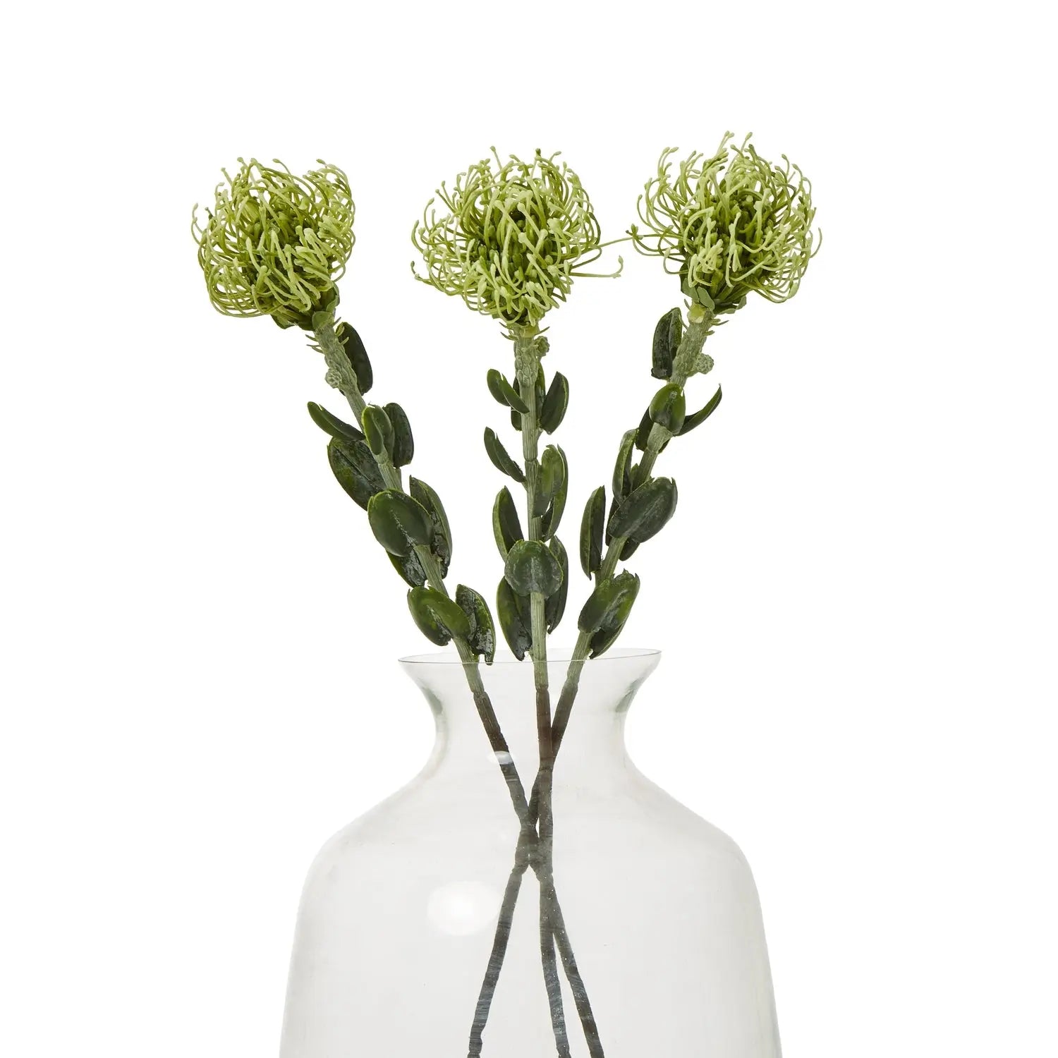 Green Pincushion Protea Spray Makur Interior