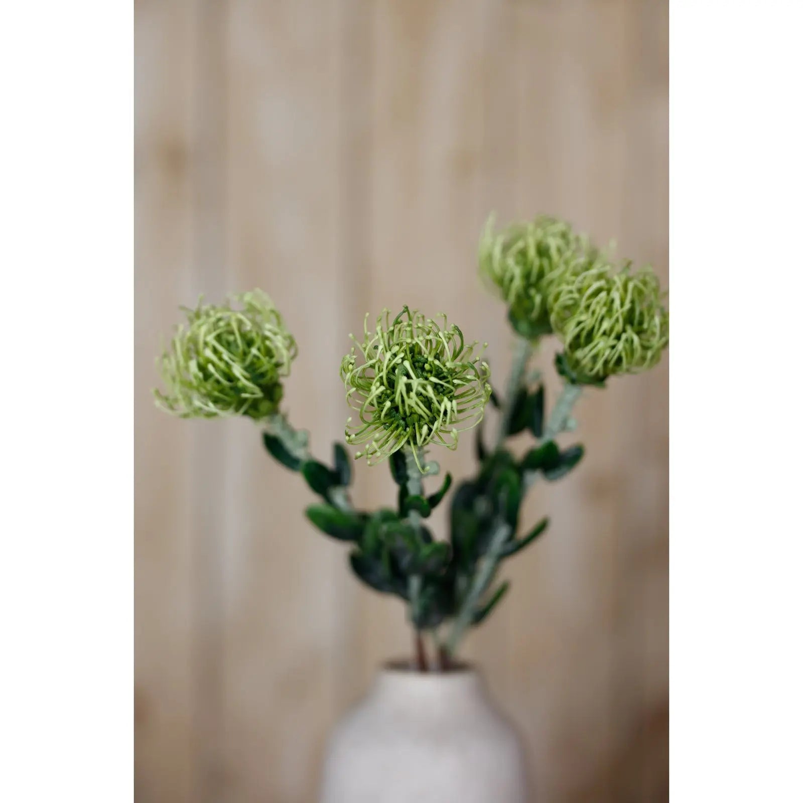 Green Pincushion Protea Spray Makur Interior