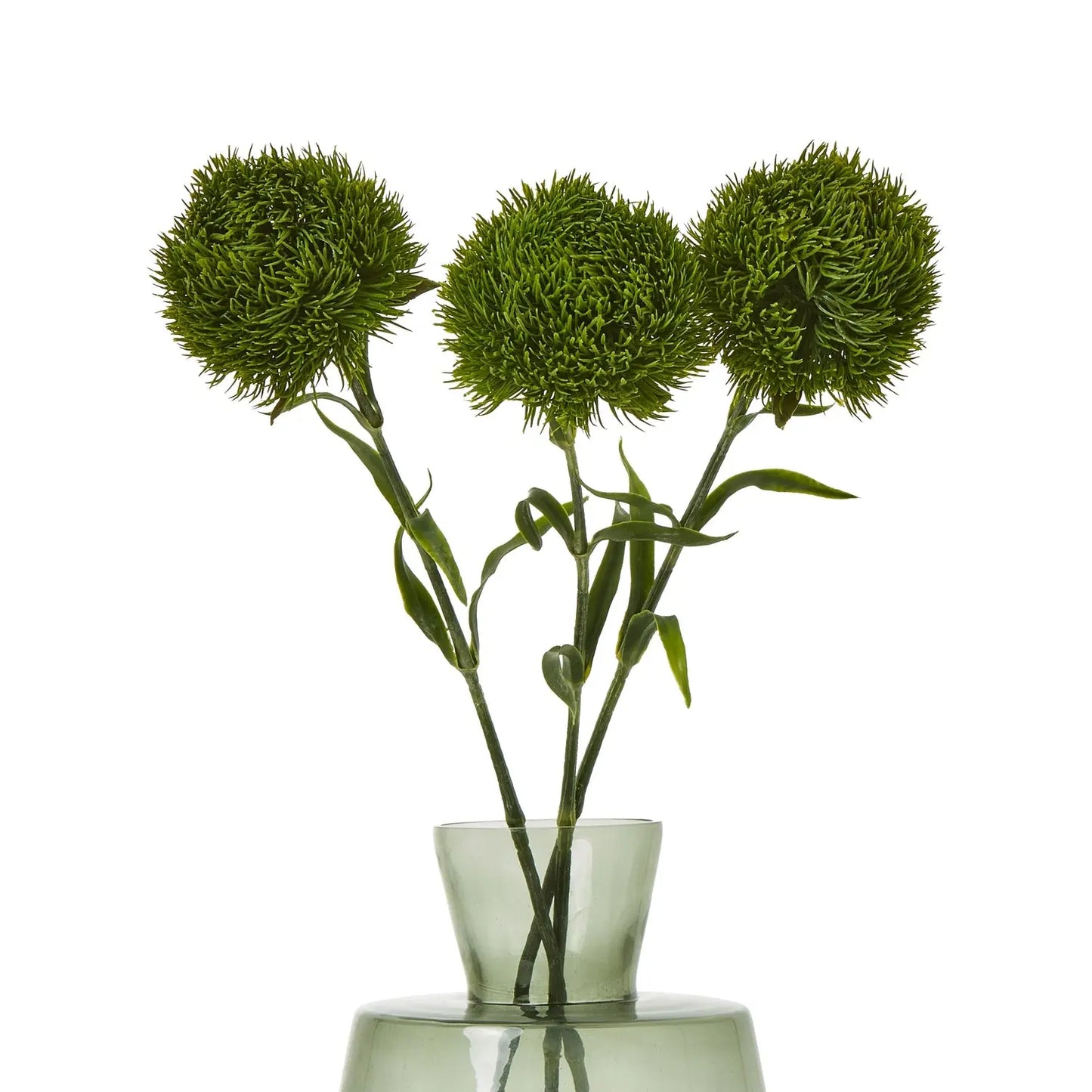 Dark Green Dianthus Stem Makur Interior