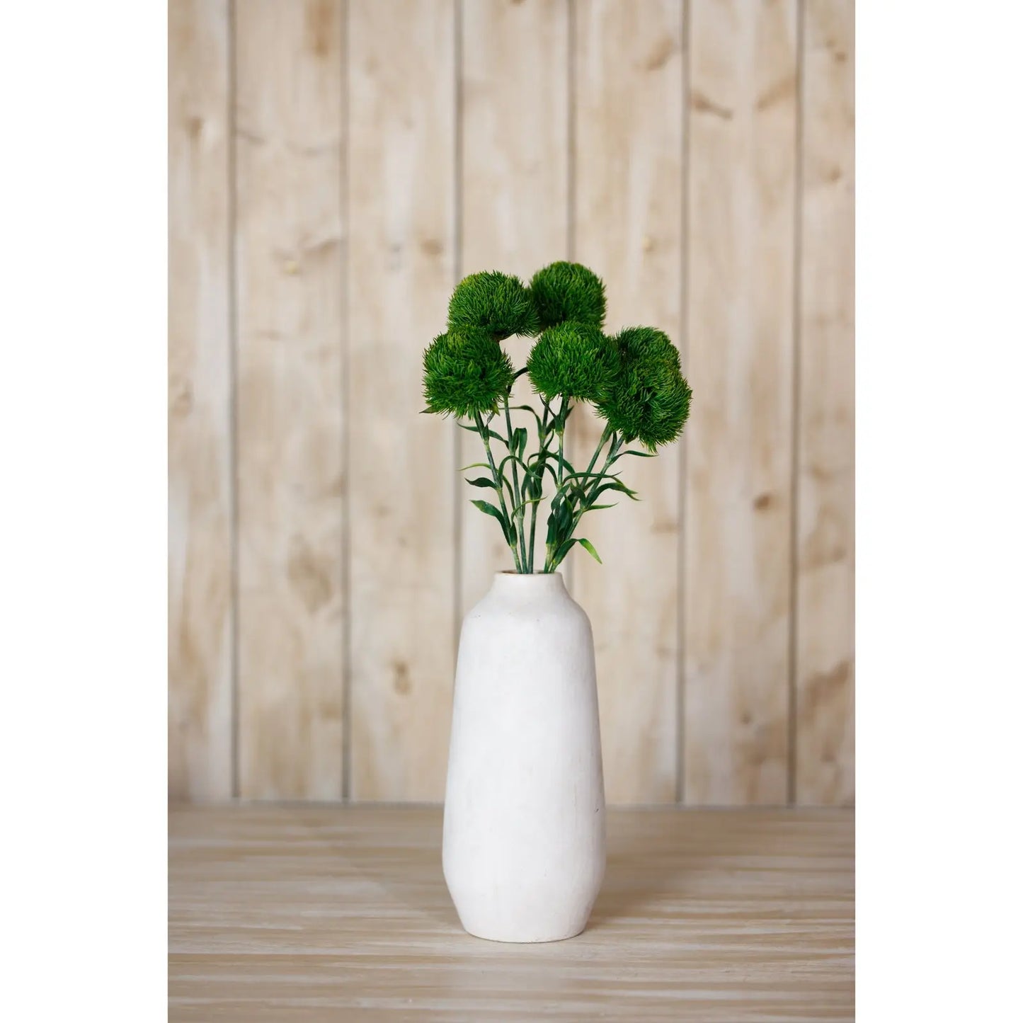 Dark Green Dianthus Stem Makur Interior