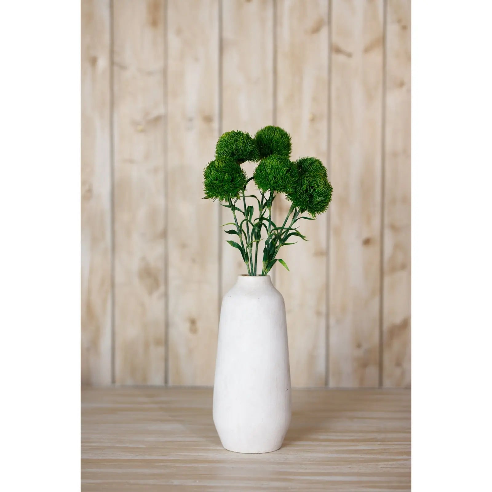 Dark Green Dianthus Stem Makur Interior
