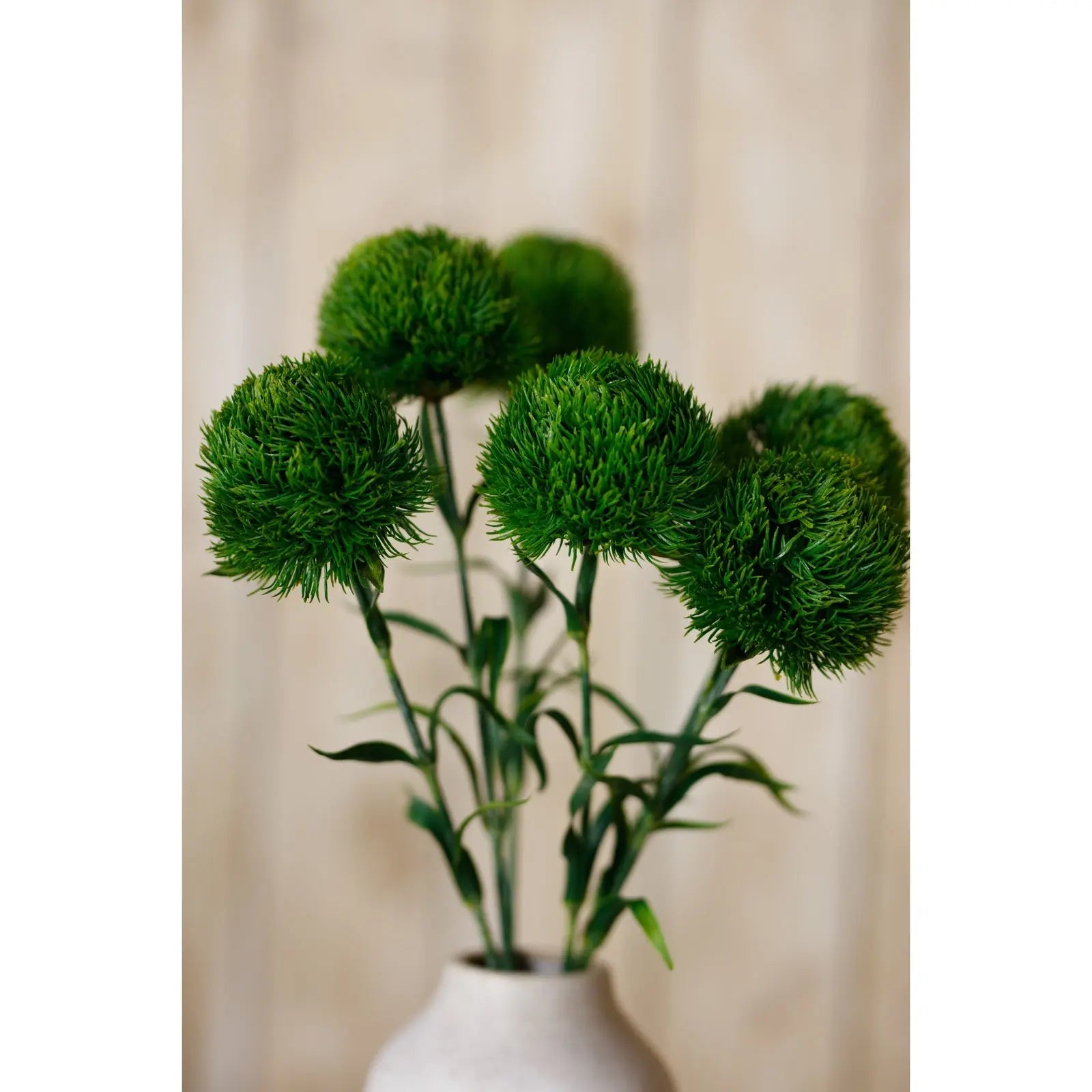 Dark Green Dianthus Stem Makur Interior