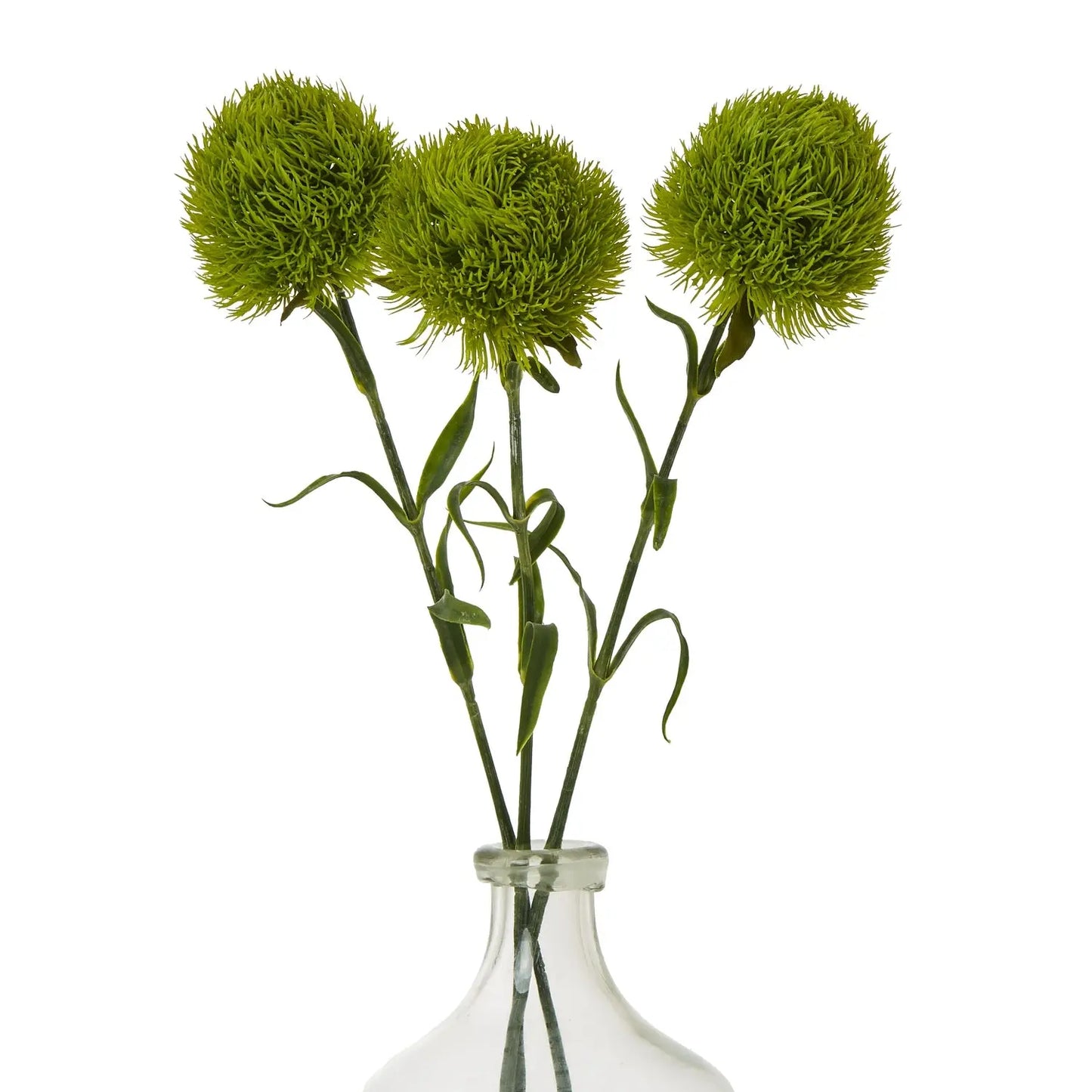 Light Green Dianthus Stem Makur Interior