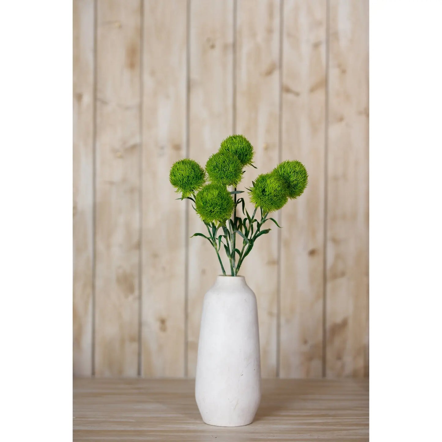 Light Green Dianthus Stem Makur Interior