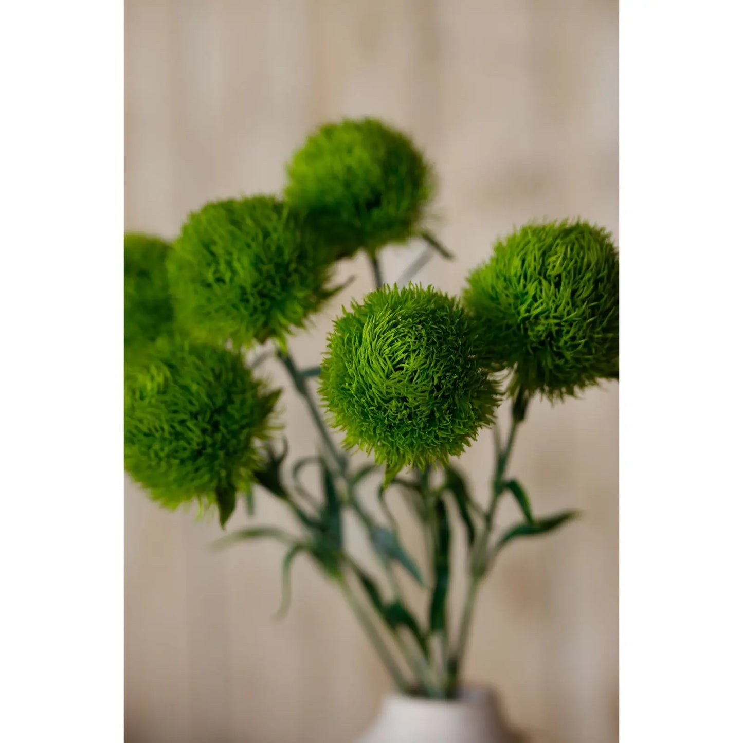 Light Green Dianthus Stem Makur Interior