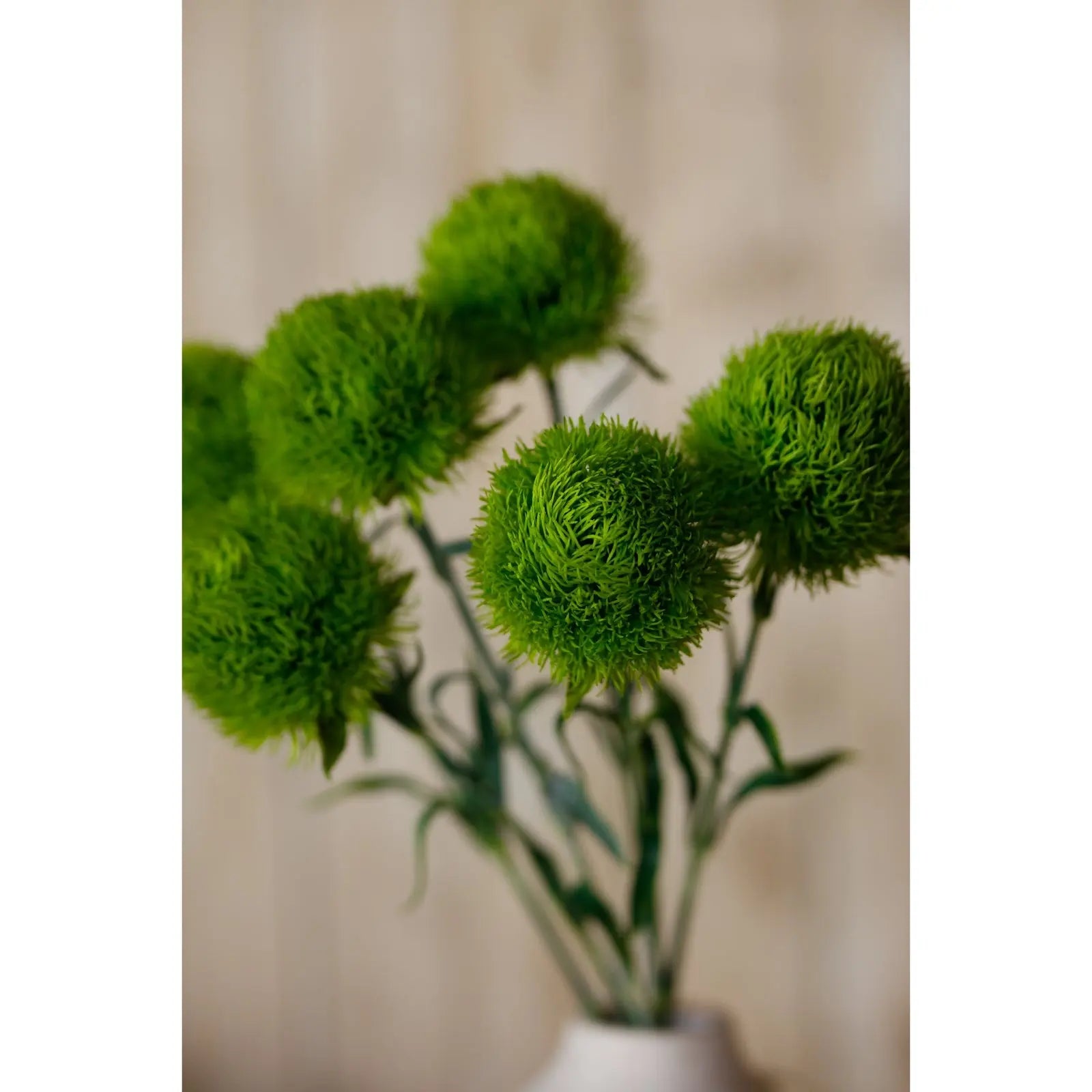 Light Green Dianthus Stem Makur Interior