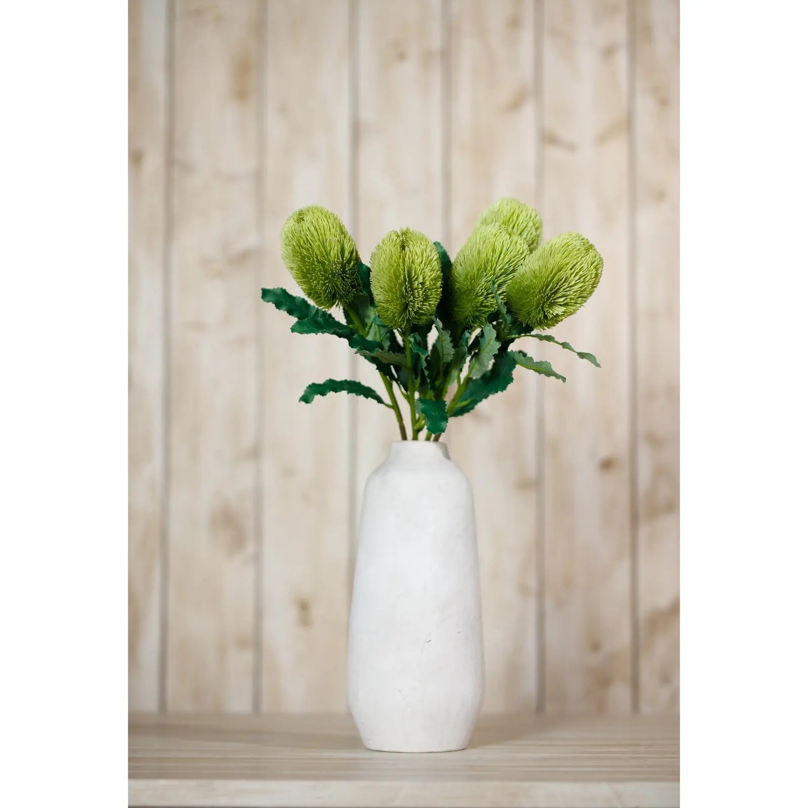 Large Green Banksia Serrata Stem Makur Interior