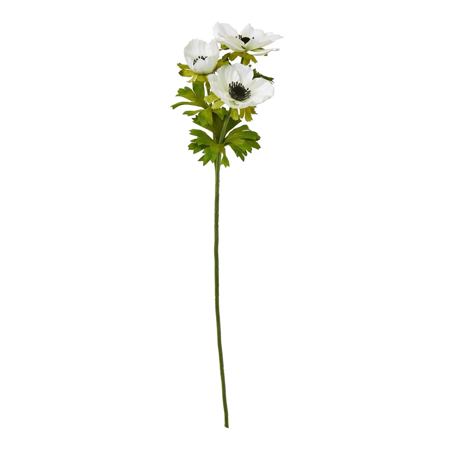 White Anemone Spray Makur Interior