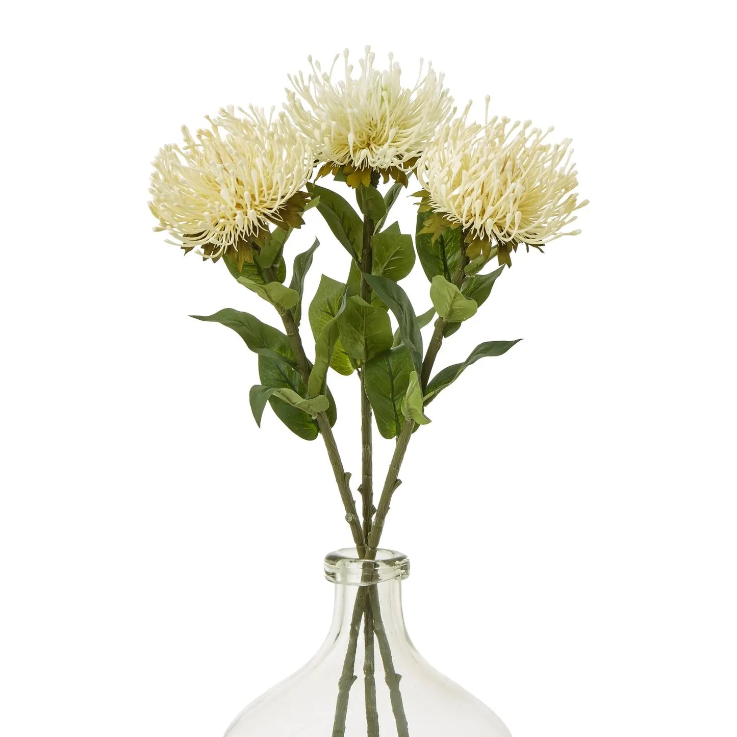 Cream Protea Lorea Stem Makur Interior