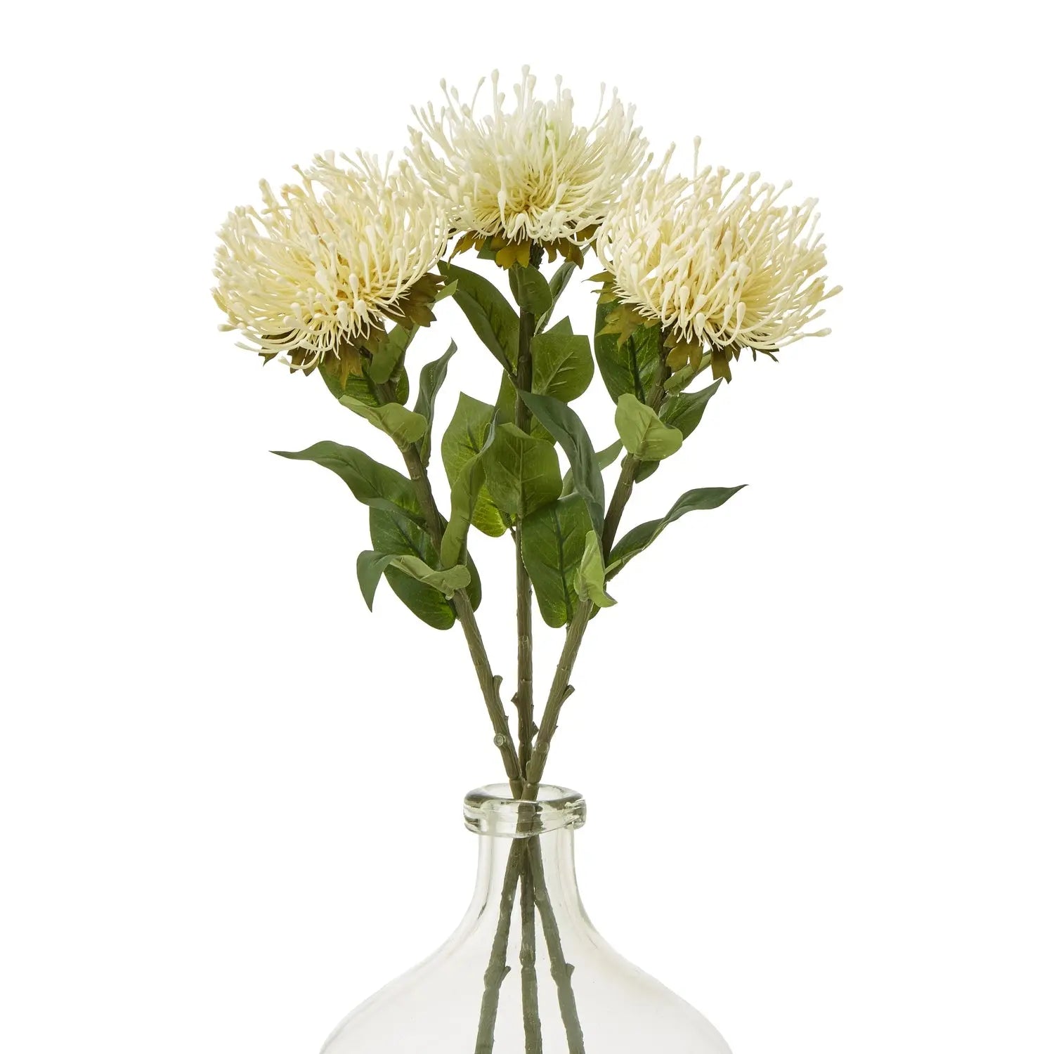 Cream Protea Lorea Stem Makur Interior