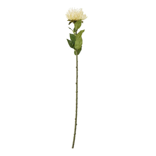 Cream Protea Lorea Stem Makur Interior