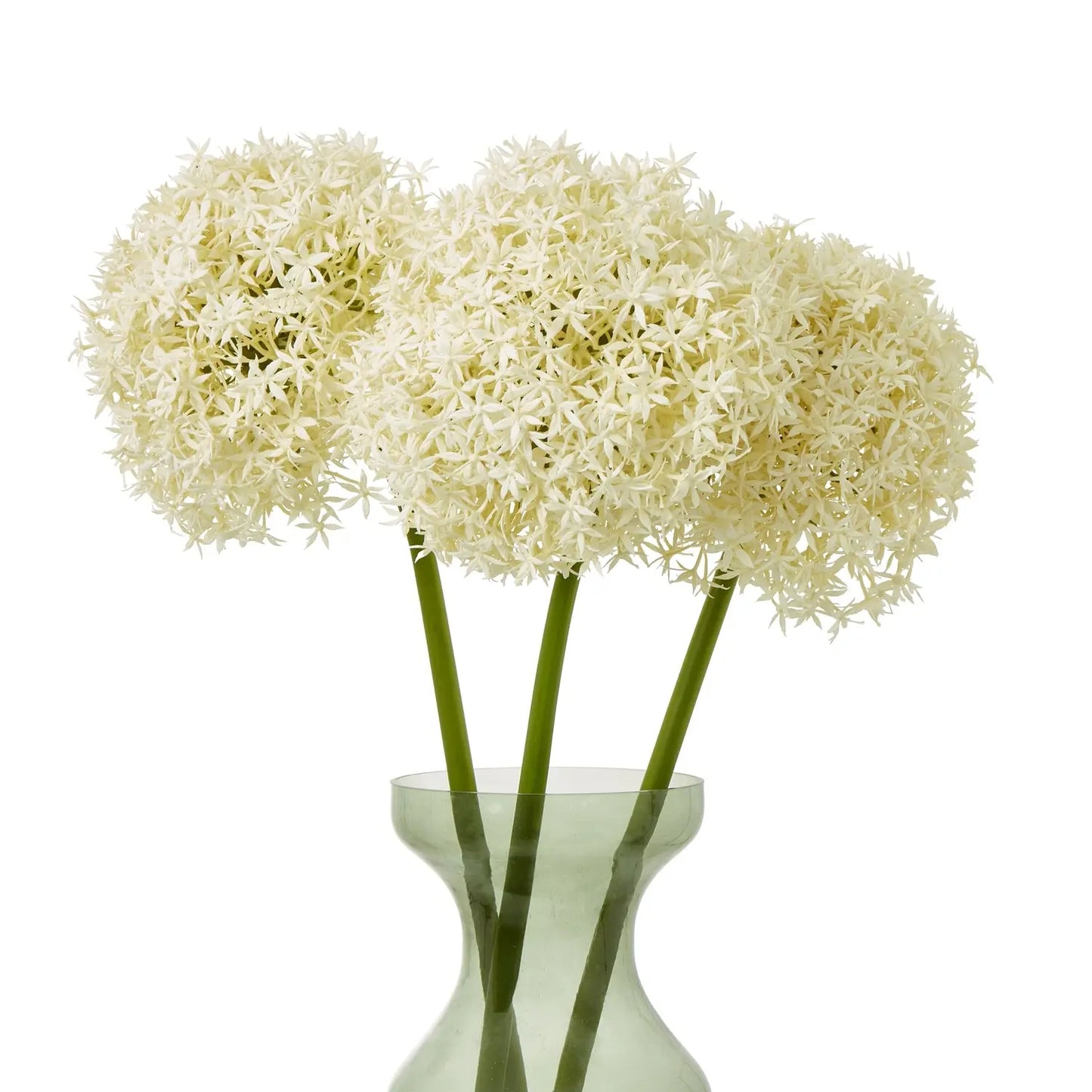Cream Giant Allium Stem Makur Interior