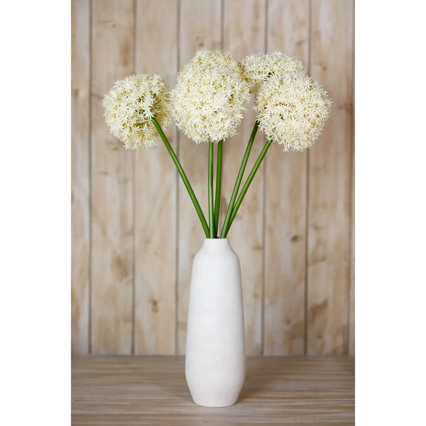 Cream Giant Allium Stem Makur Interior