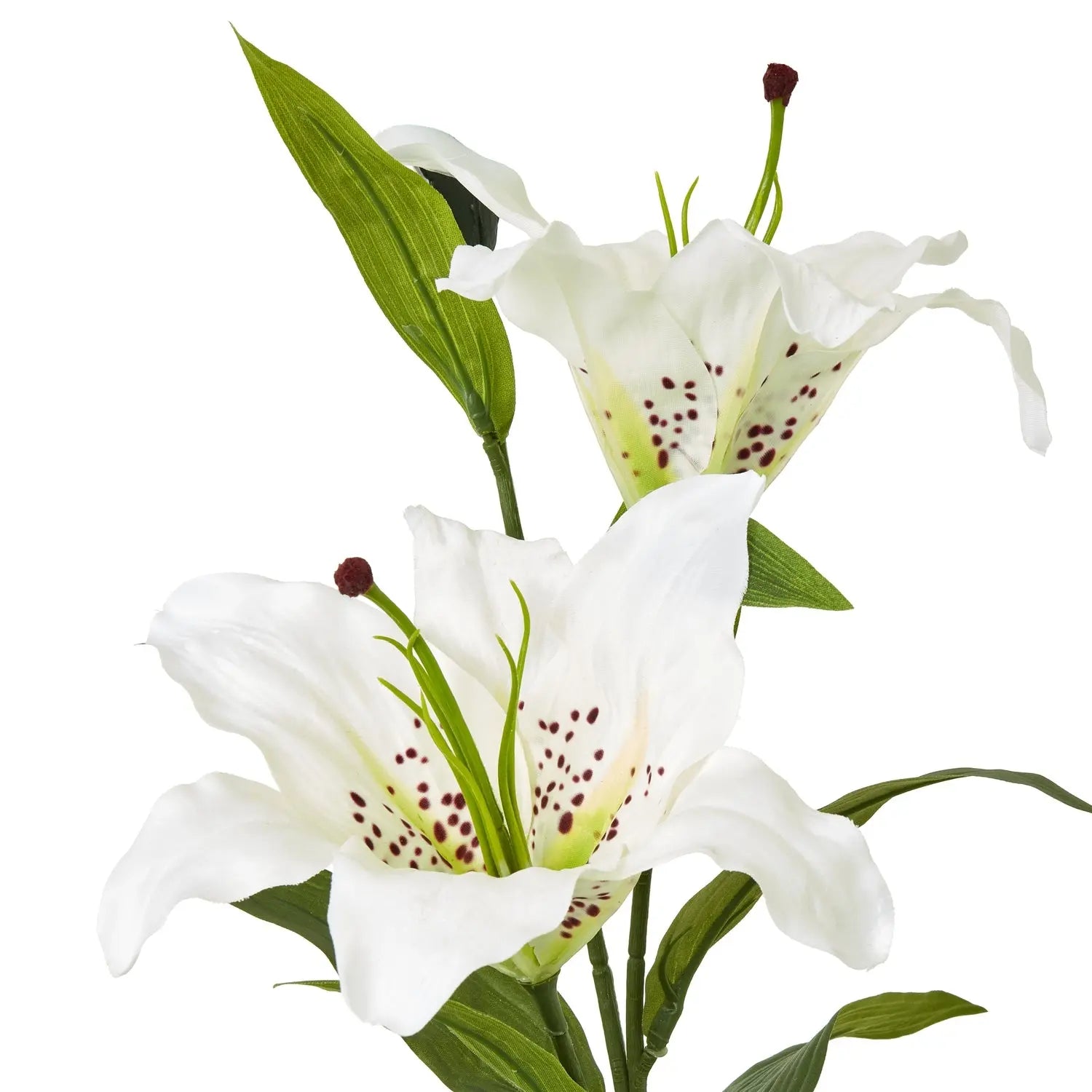 White Madonna Lily Spray Makur Interior