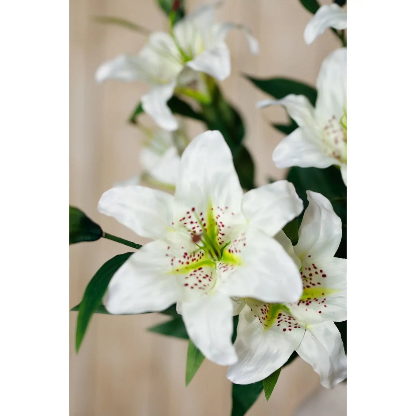 White Madonna Lily Spray Makur Interior