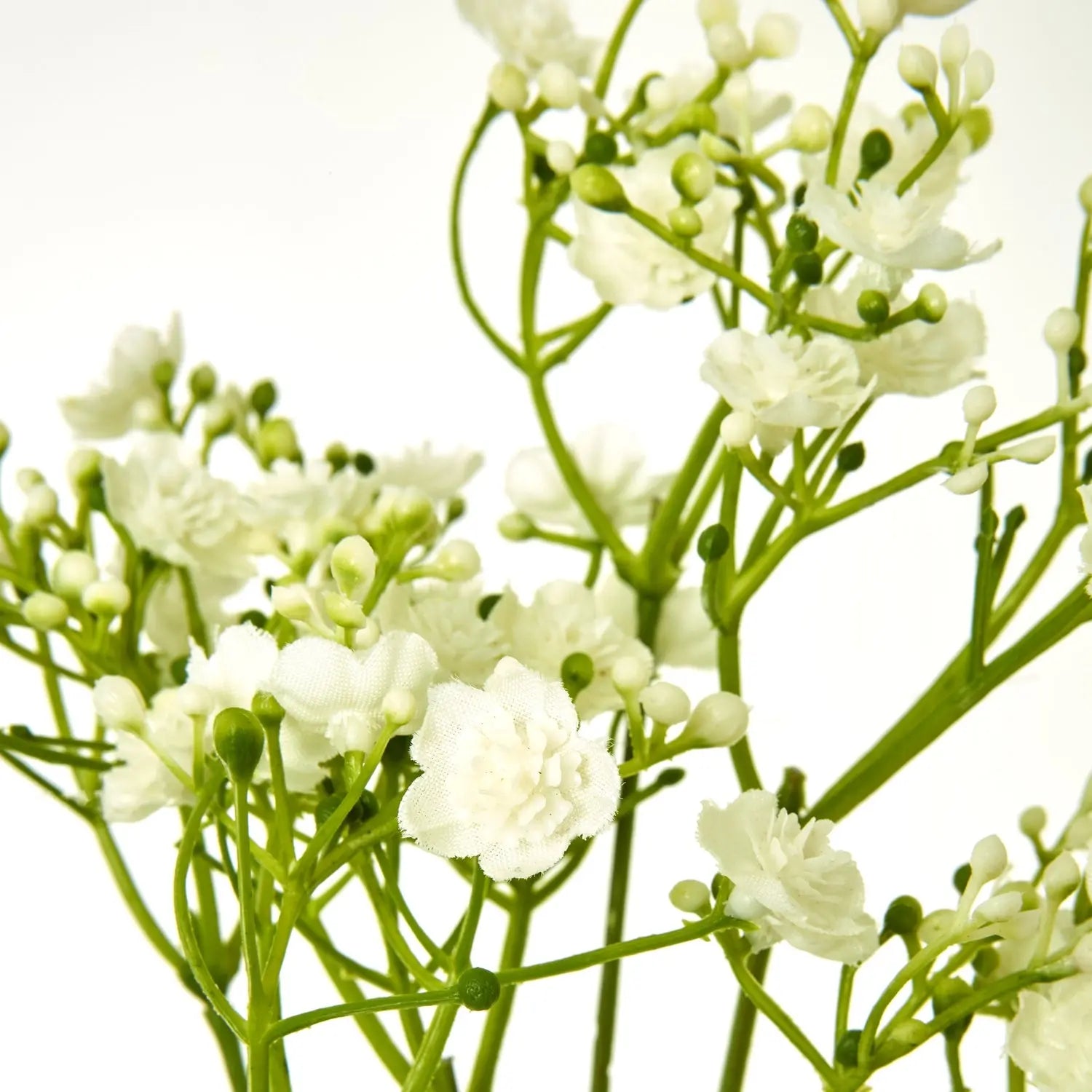 Cream Gypsophila Stem Makur Interior