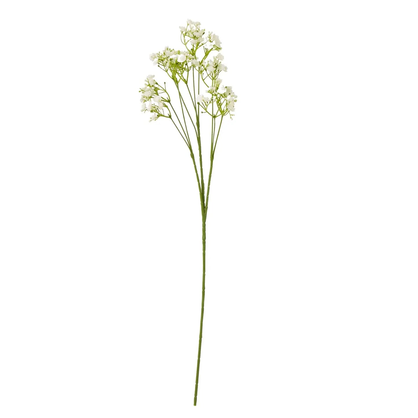 Cream Gypsophila Stem Makur Interior