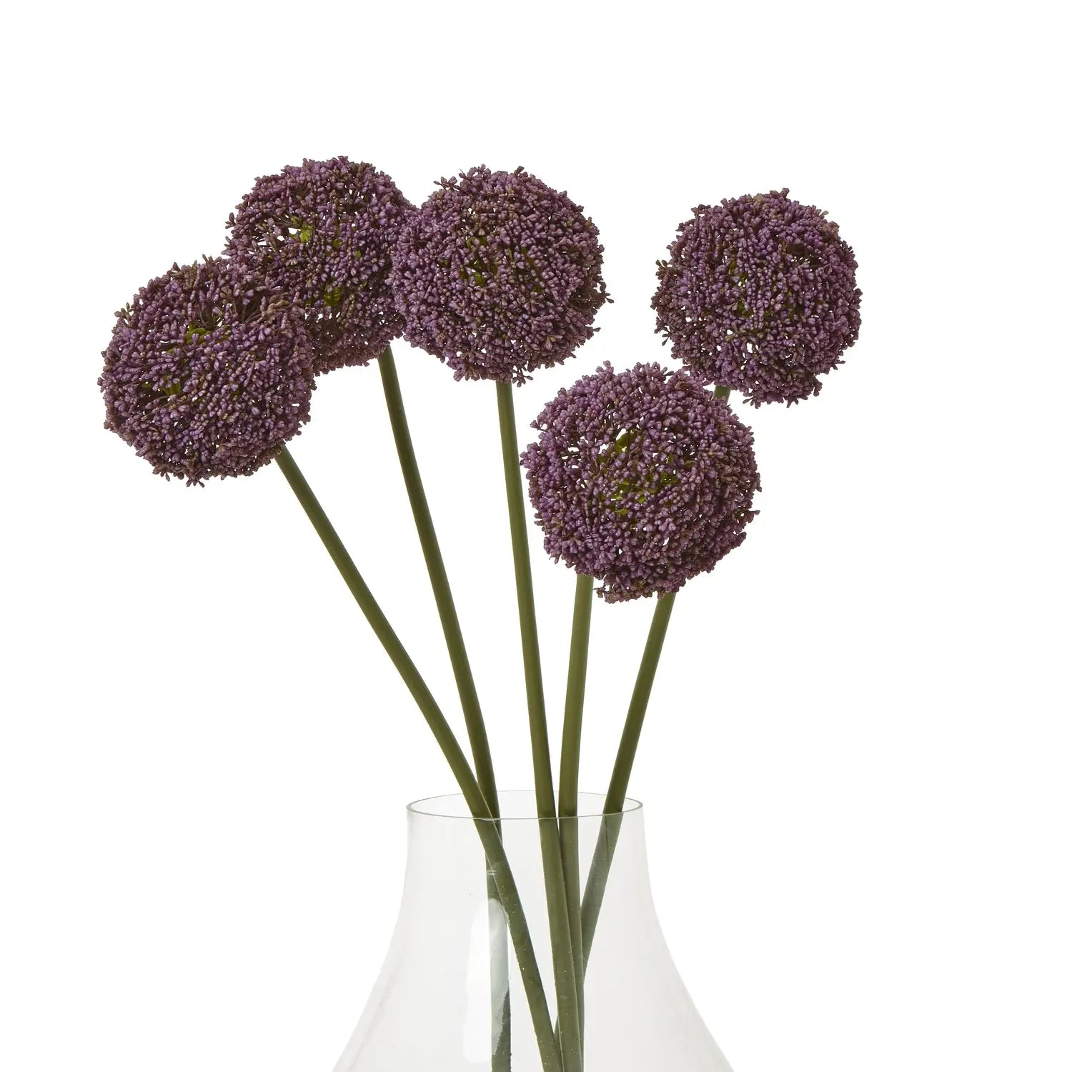 Purple Allium Stem Makur Interior