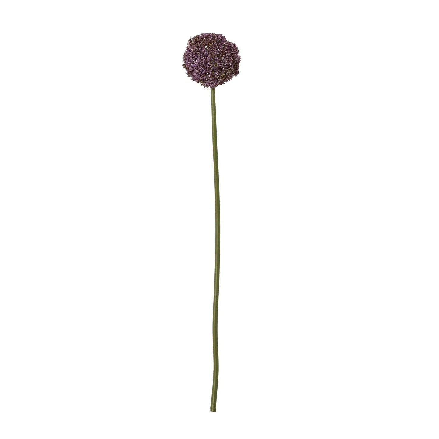 Purple Allium Stem Makur Interior