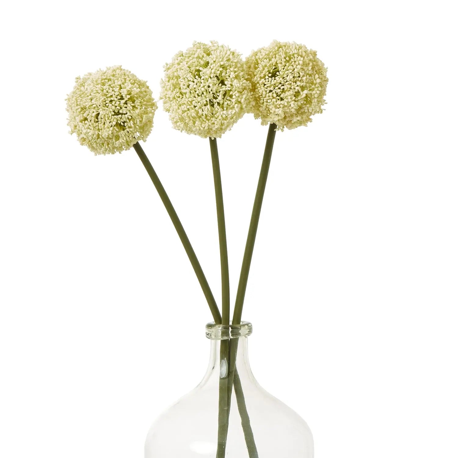 Cream Allium Stem Makur Interior