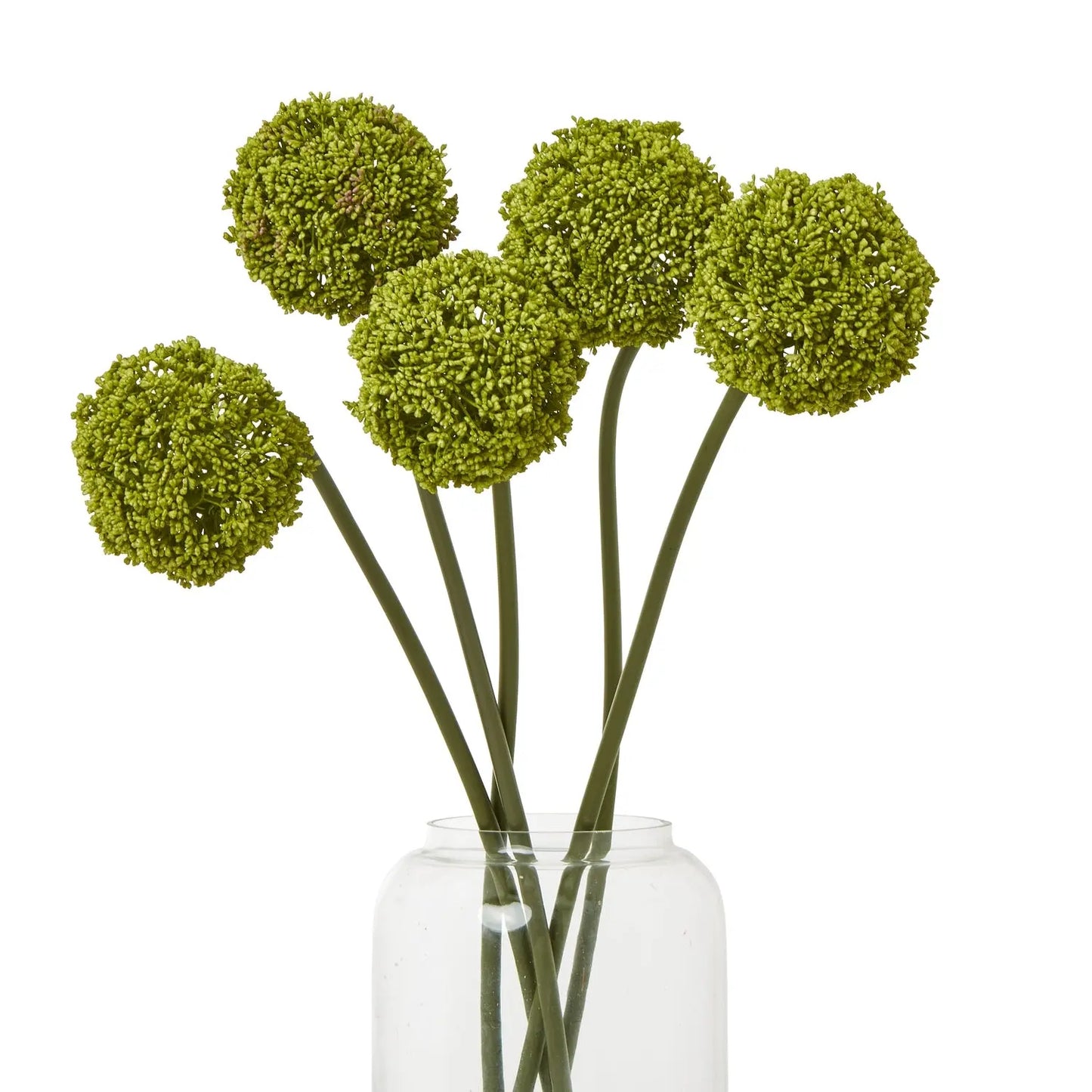 Green Allium Stem Makur Interior